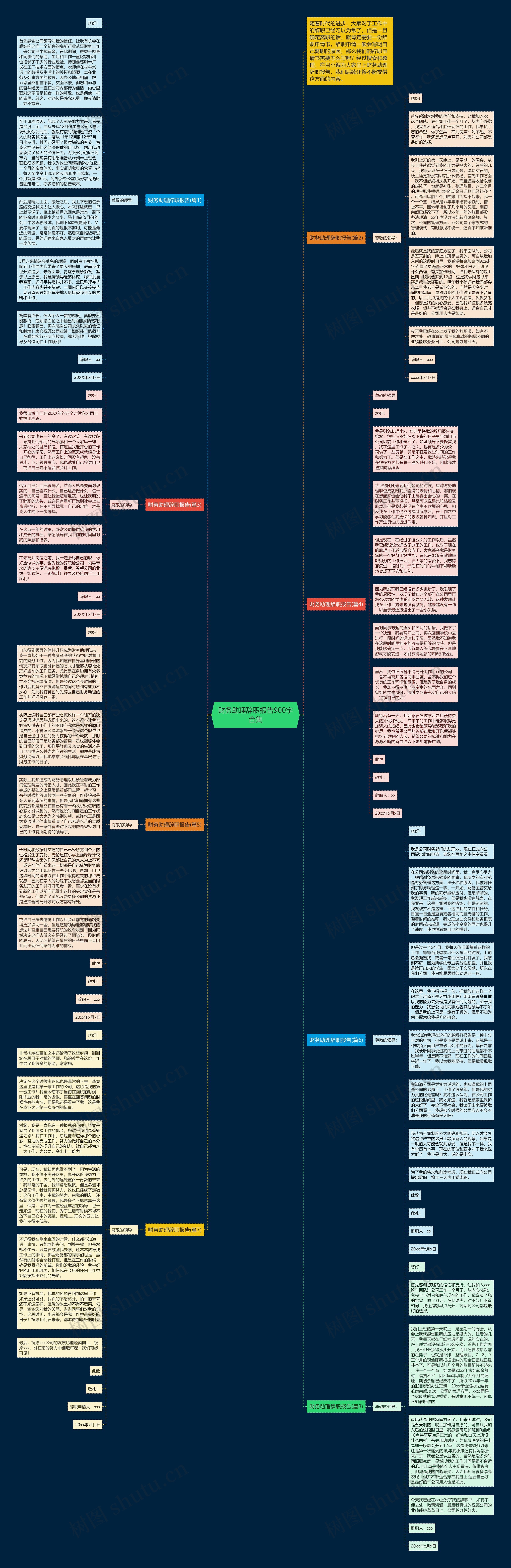 财务助理辞职报告900字合集思维导图
