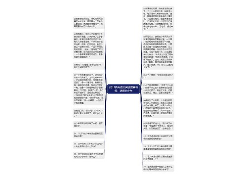 2017高考语文阅读理解训练：送报的少年