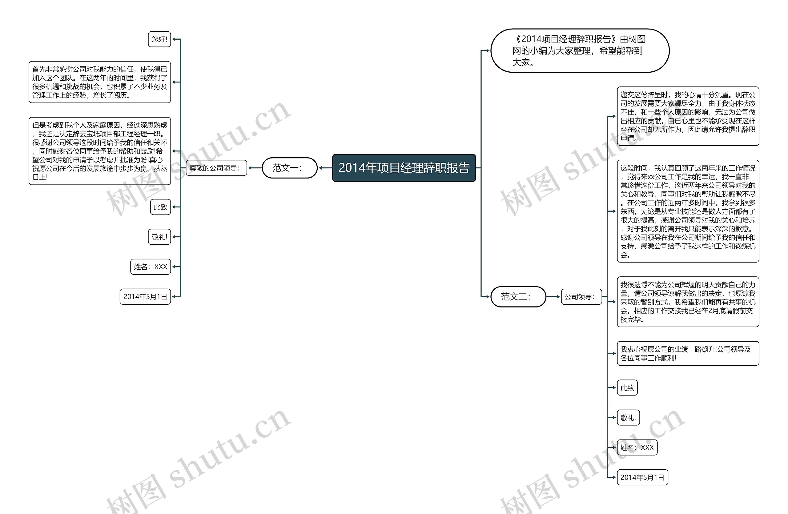 2014年项目经理辞职报告