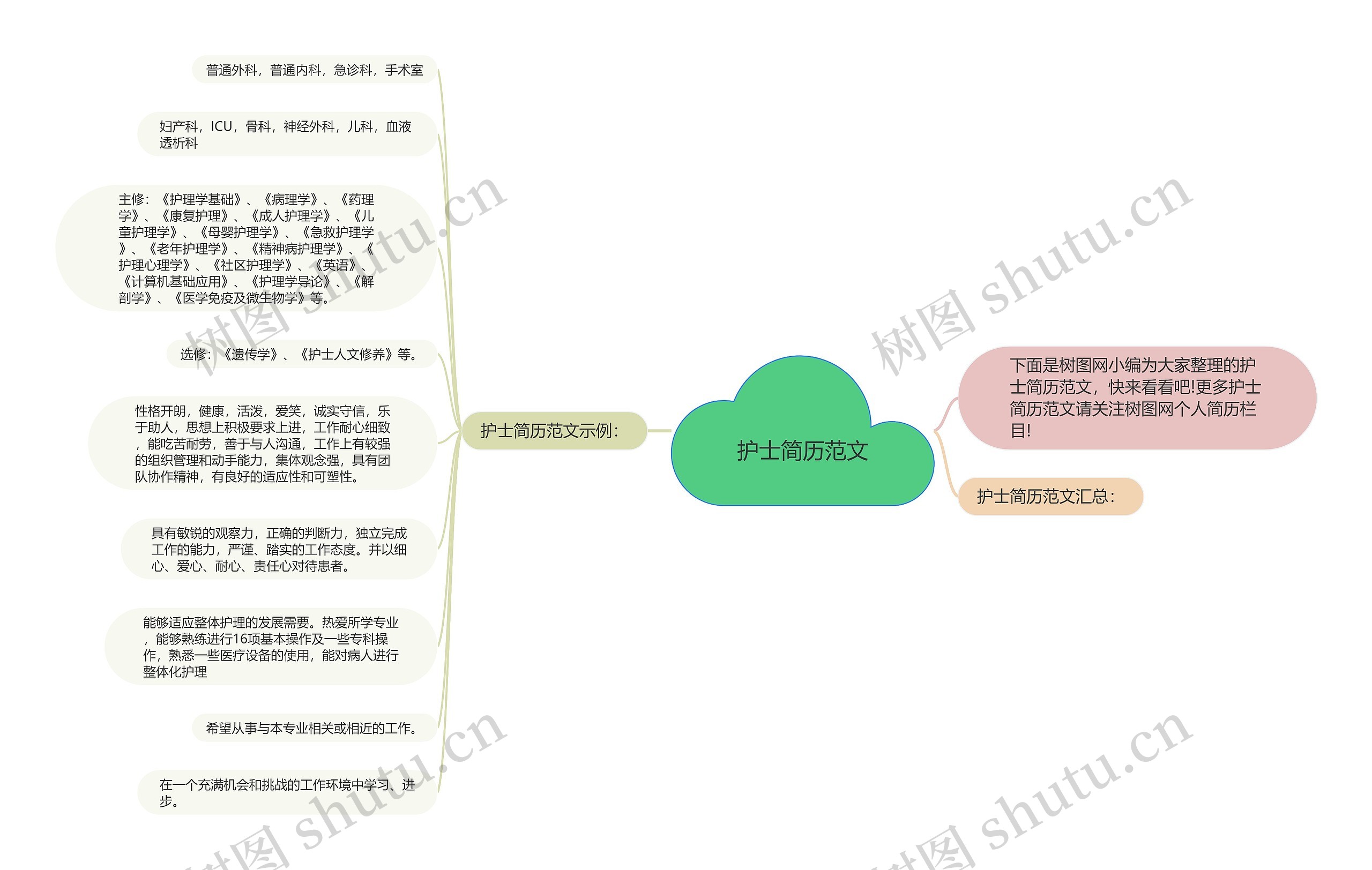 护士简历范文思维导图