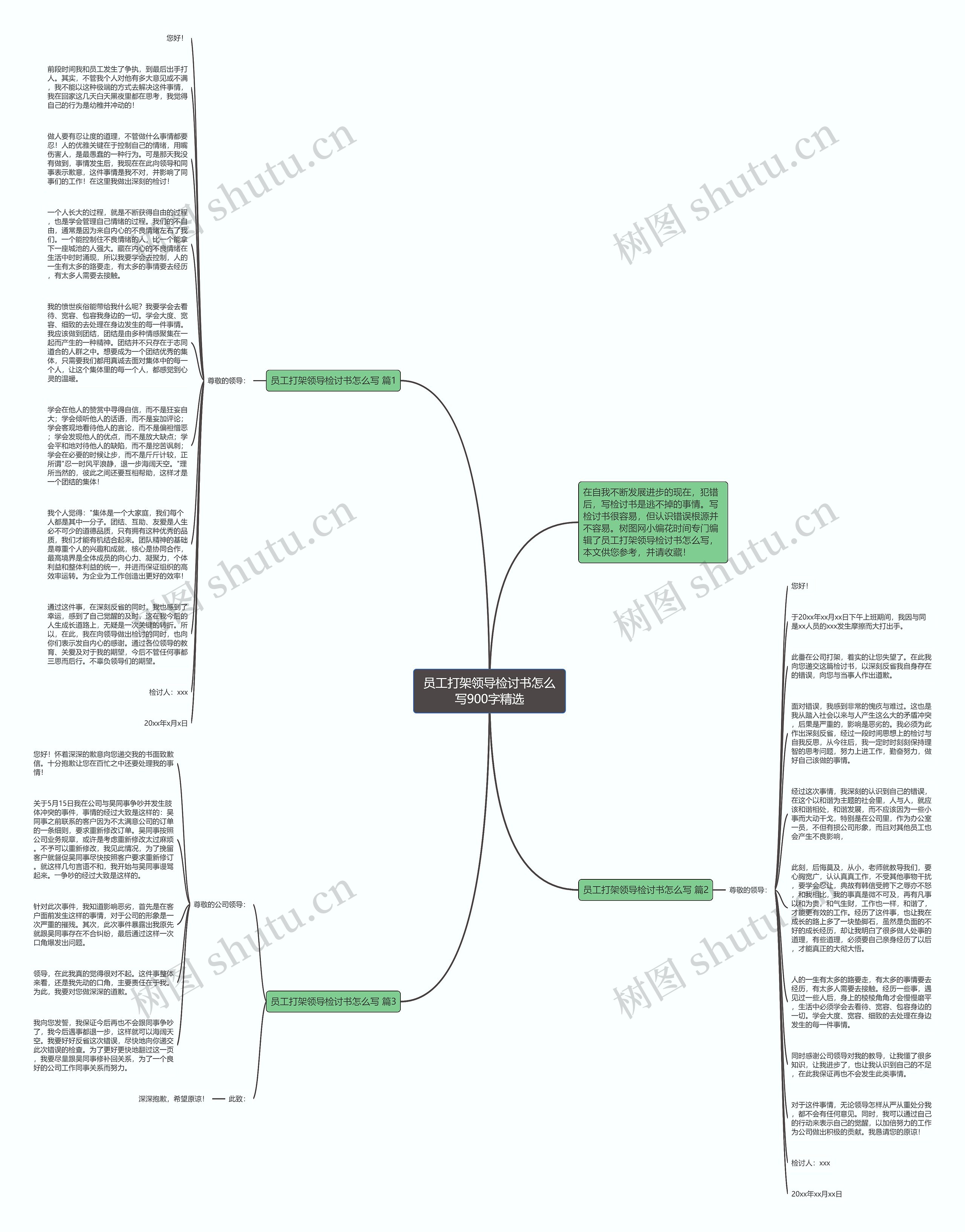 员工打架领导检讨书怎么写900字精选思维导图