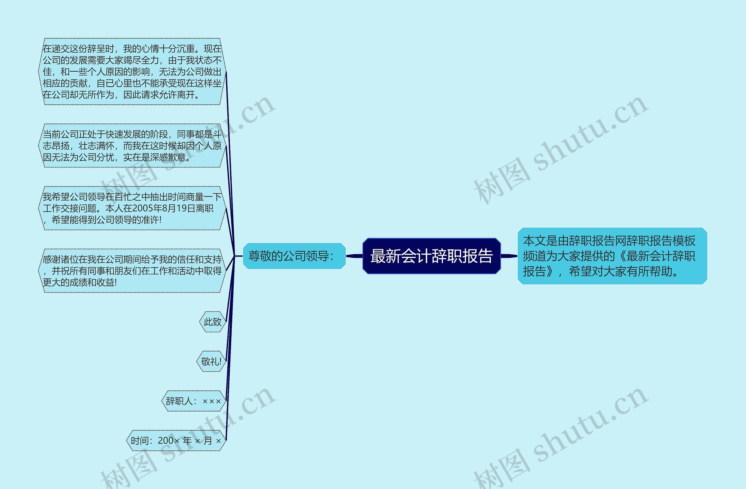 最新会计辞职报告