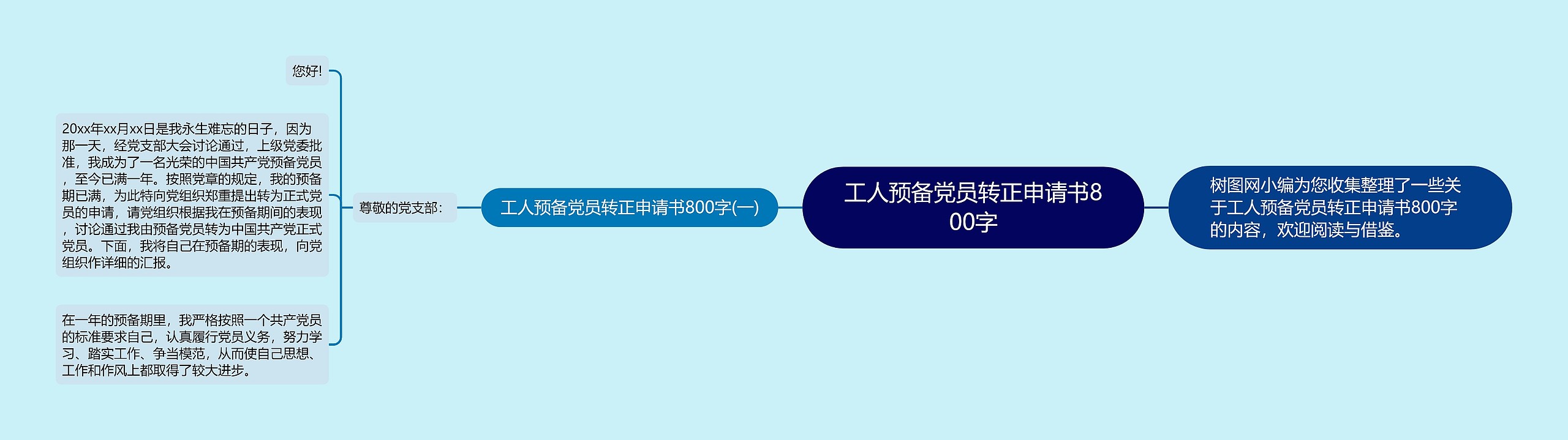 工人预备党员转正申请书800字