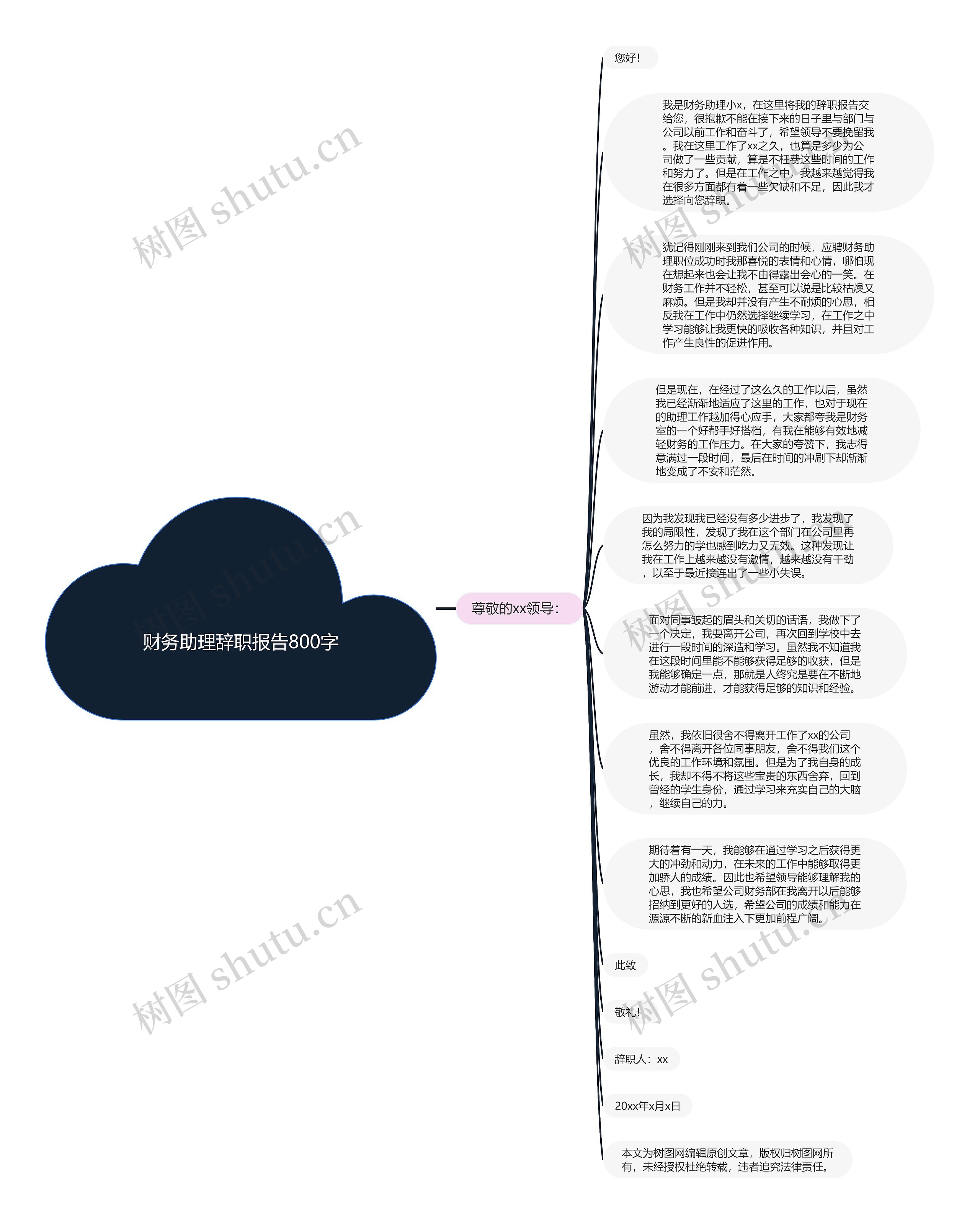 财务助理辞职报告800字