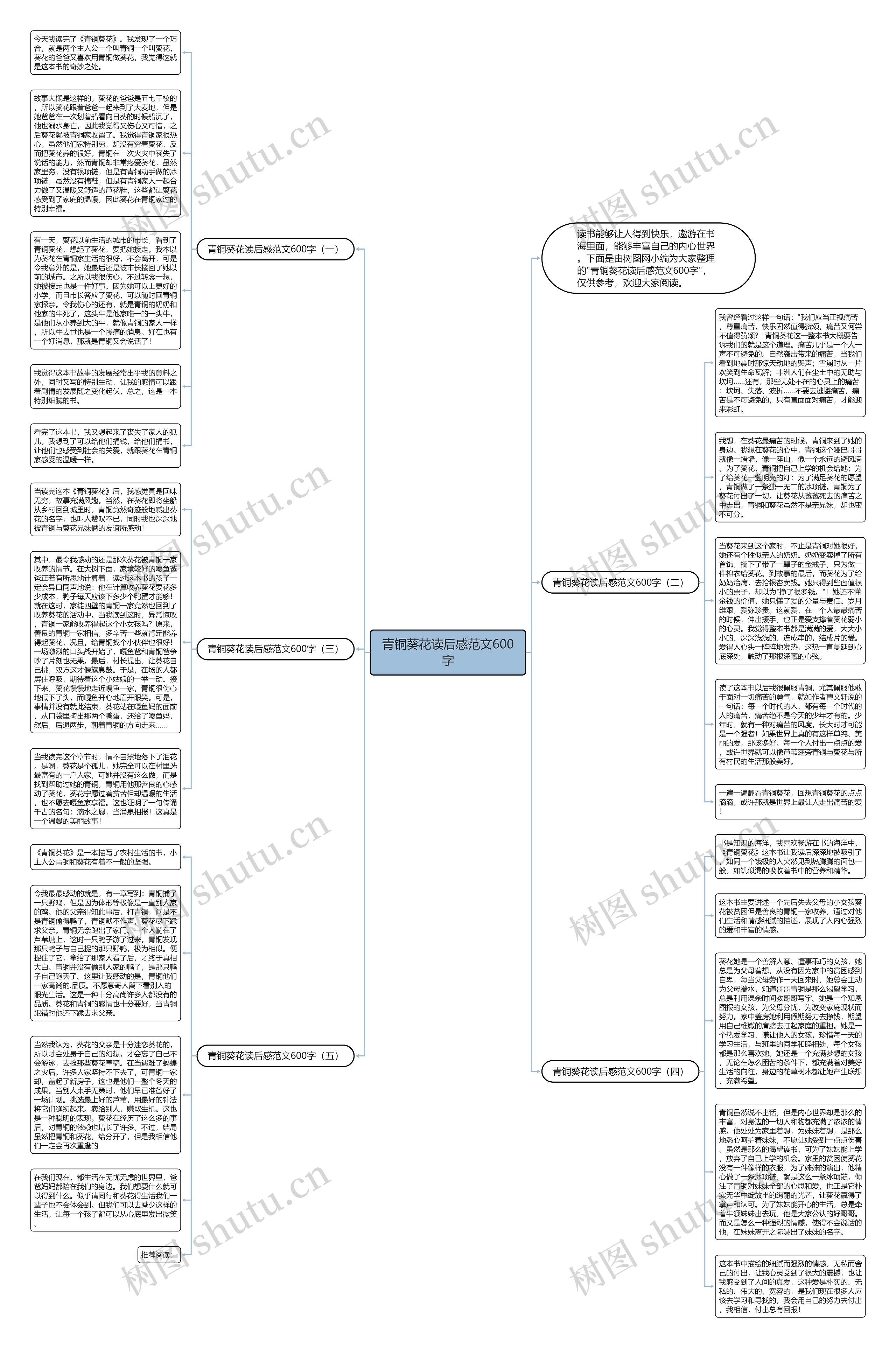青铜葵花读后感范文600字思维导图