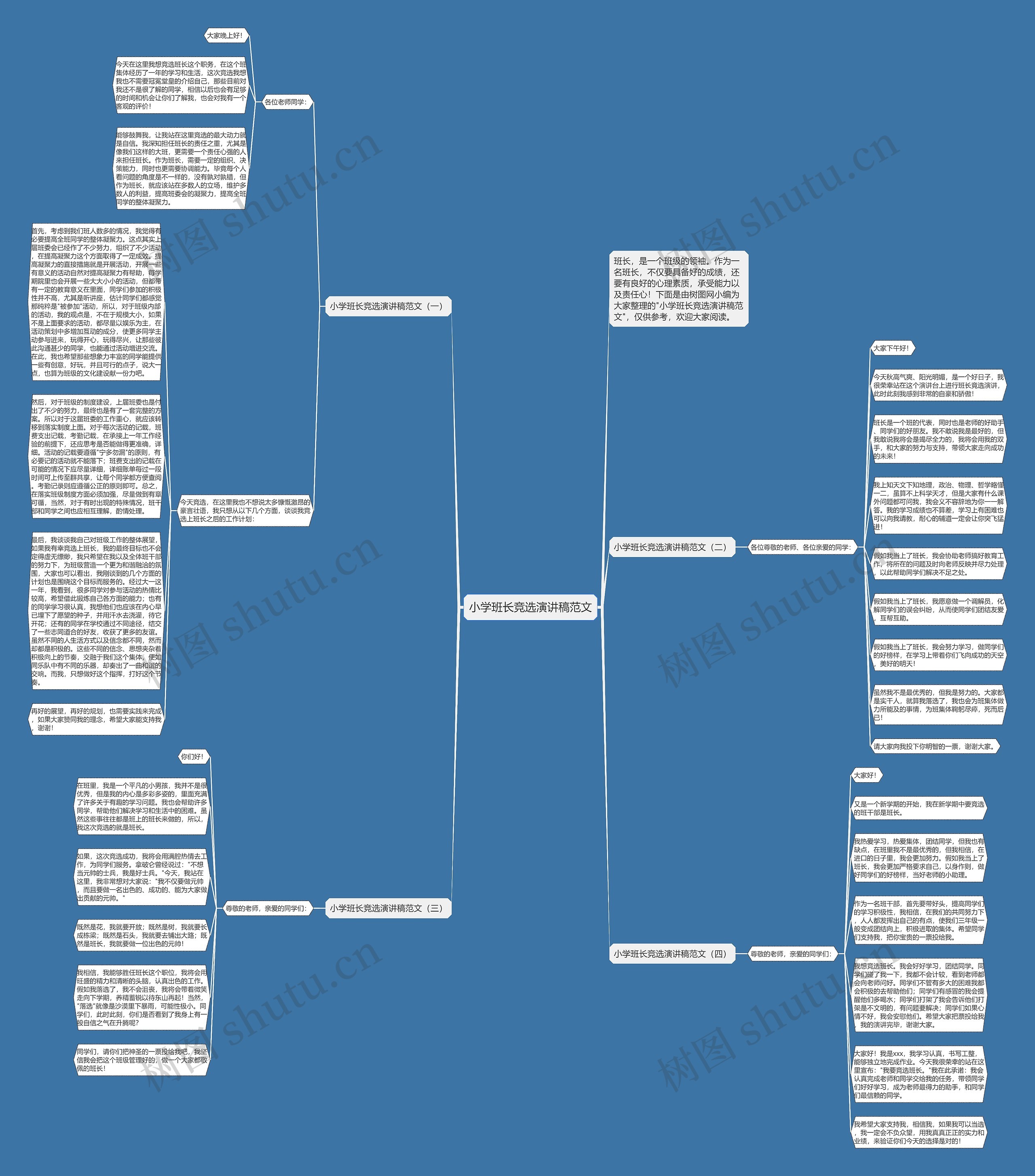 小学班长竞选演讲稿范文思维导图
