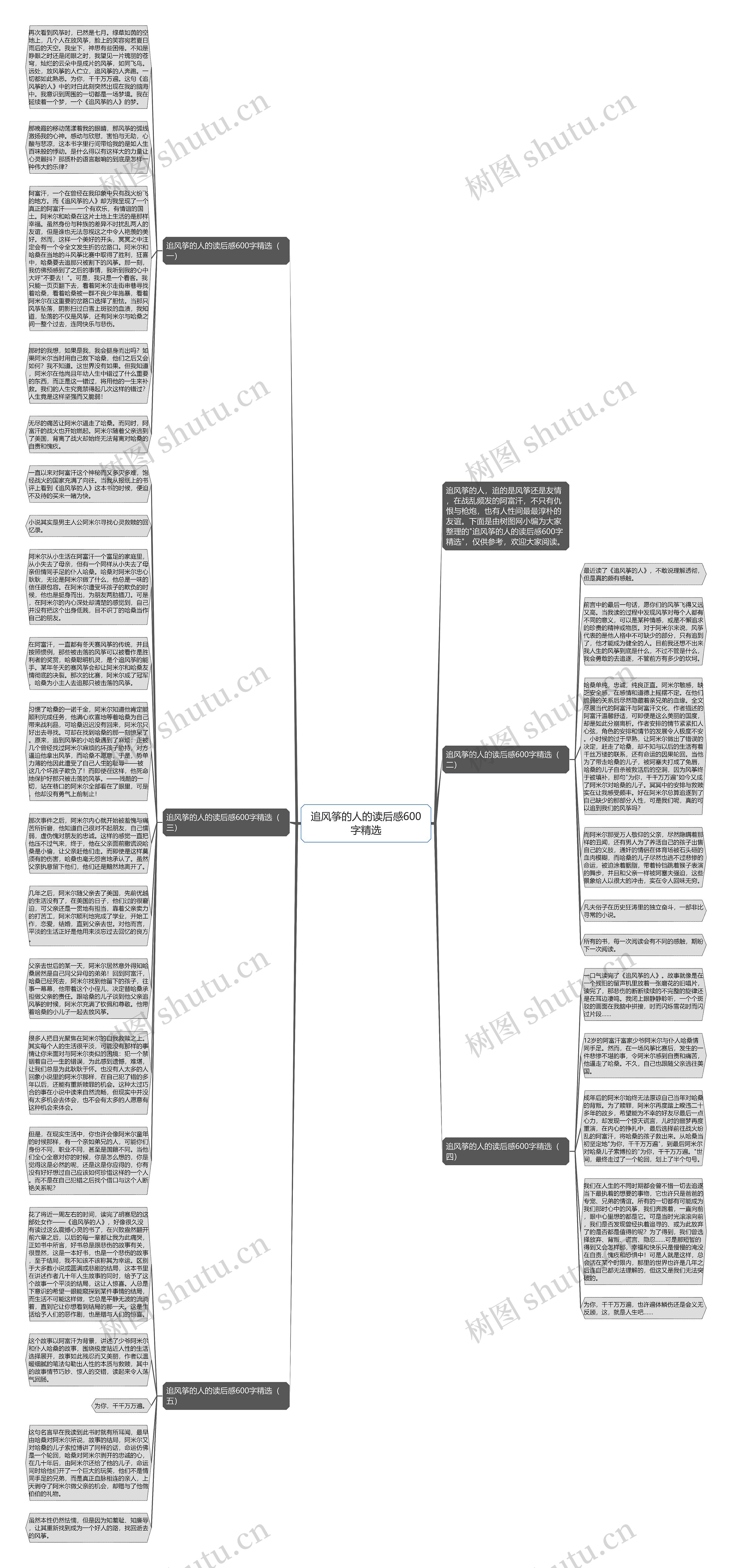追风筝的人的读后感600字精选思维导图