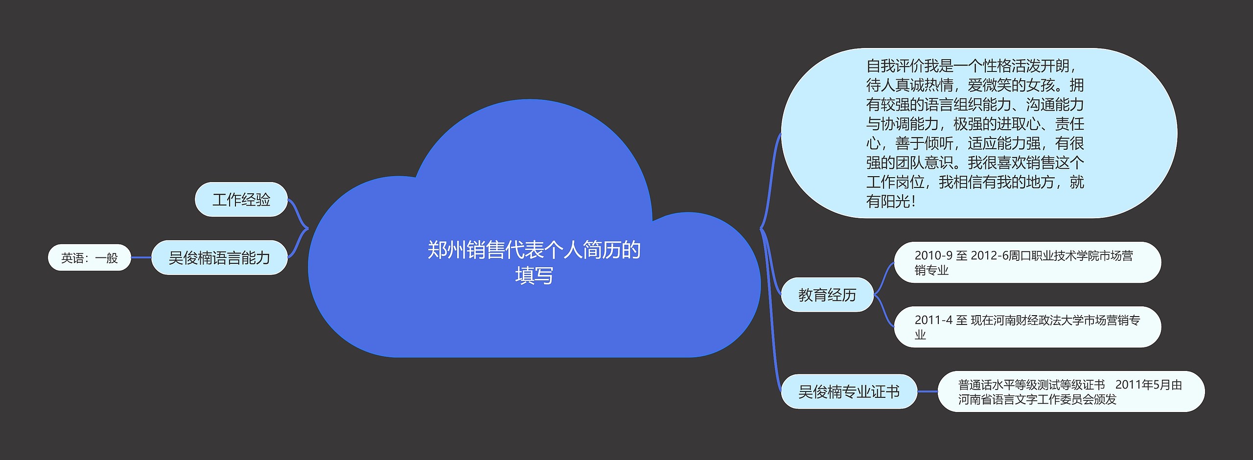 郑州销售代表个人简历的填写