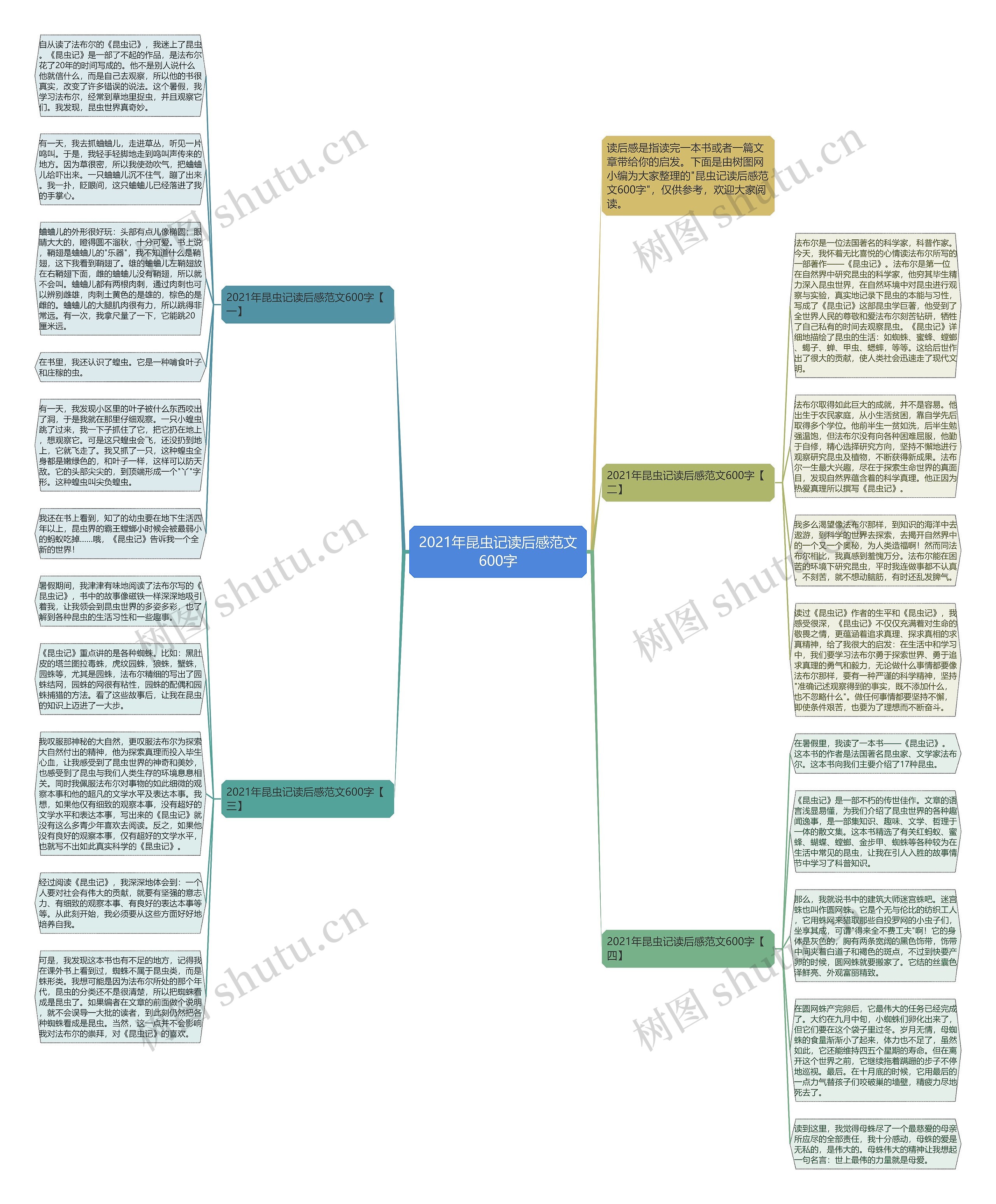 2021年昆虫记读后感范文600字思维导图