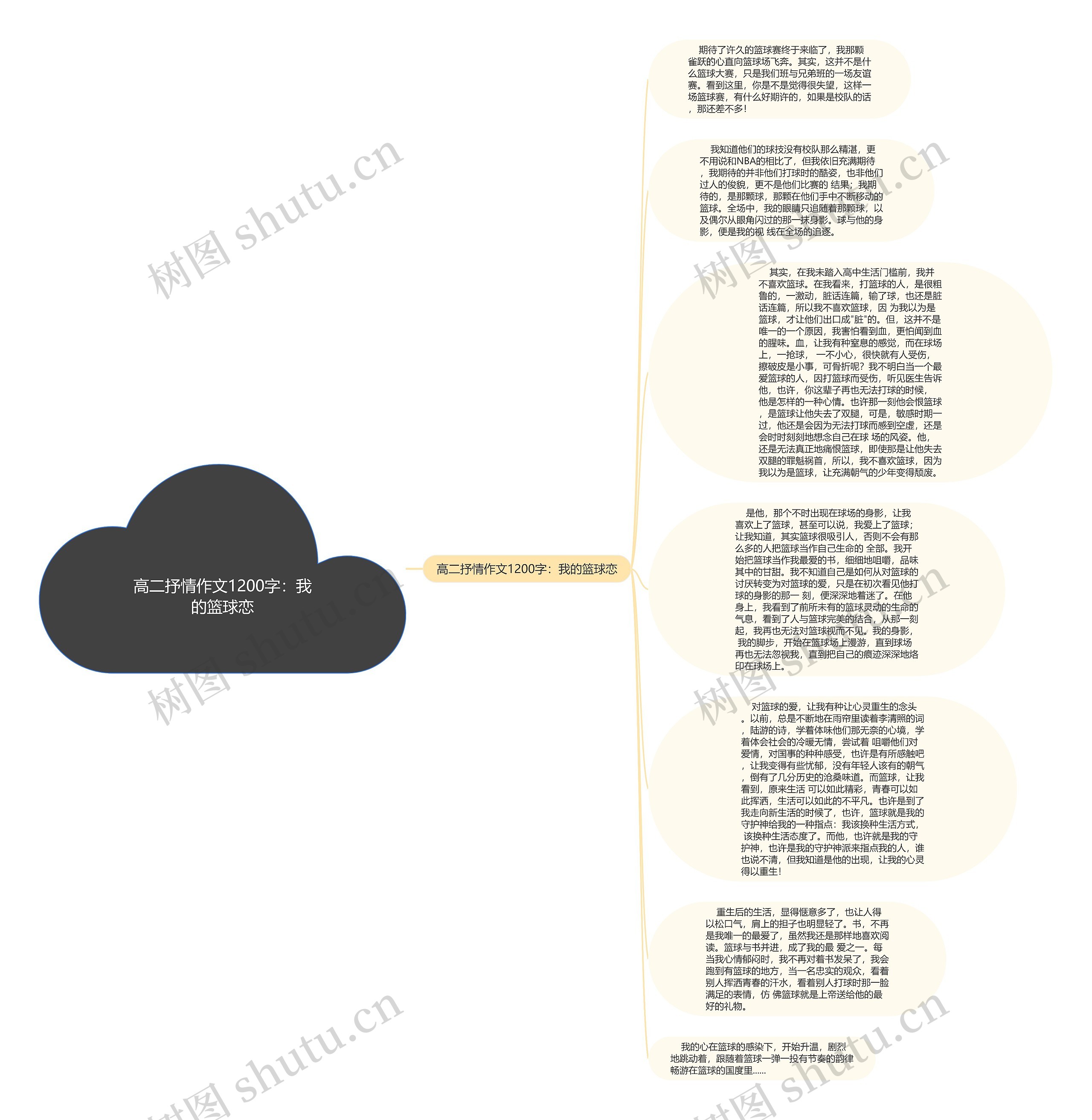 高二抒情作文1200字：我的篮球恋