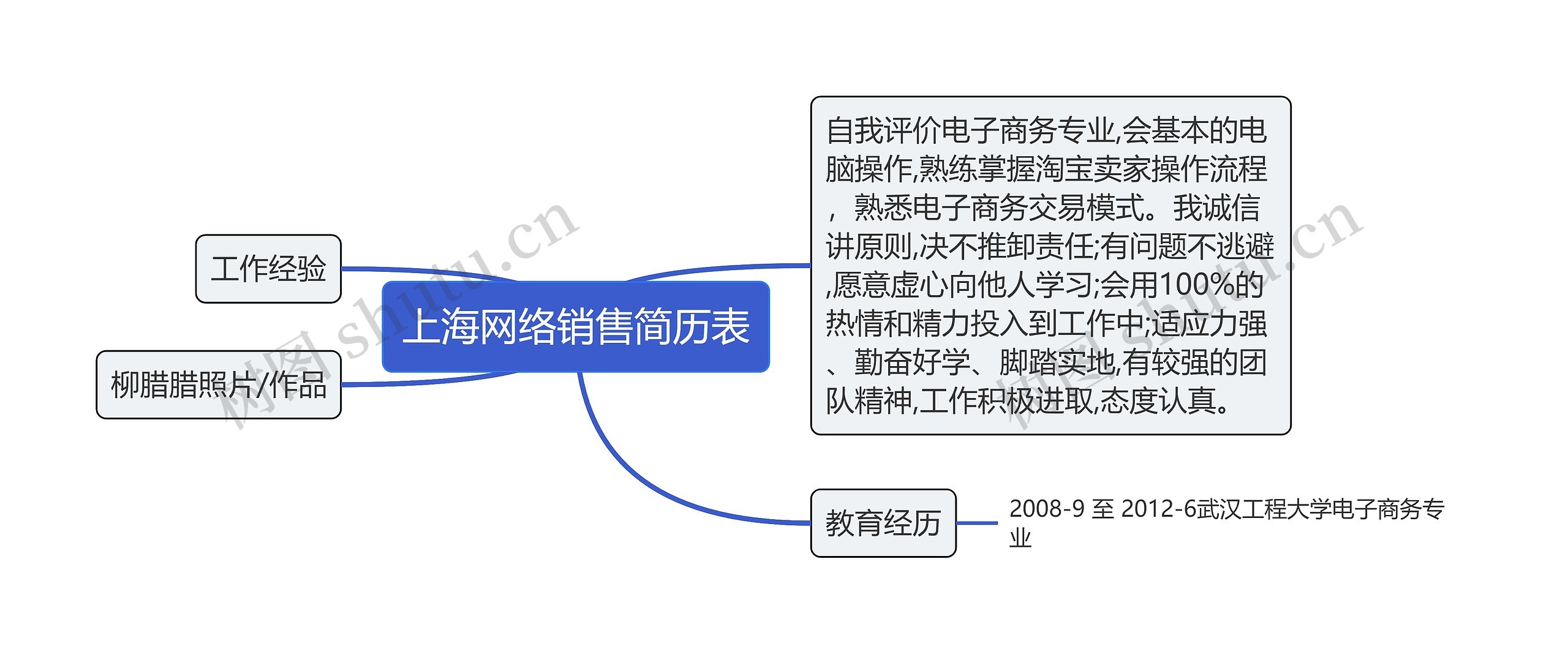 上海网络销售简历表