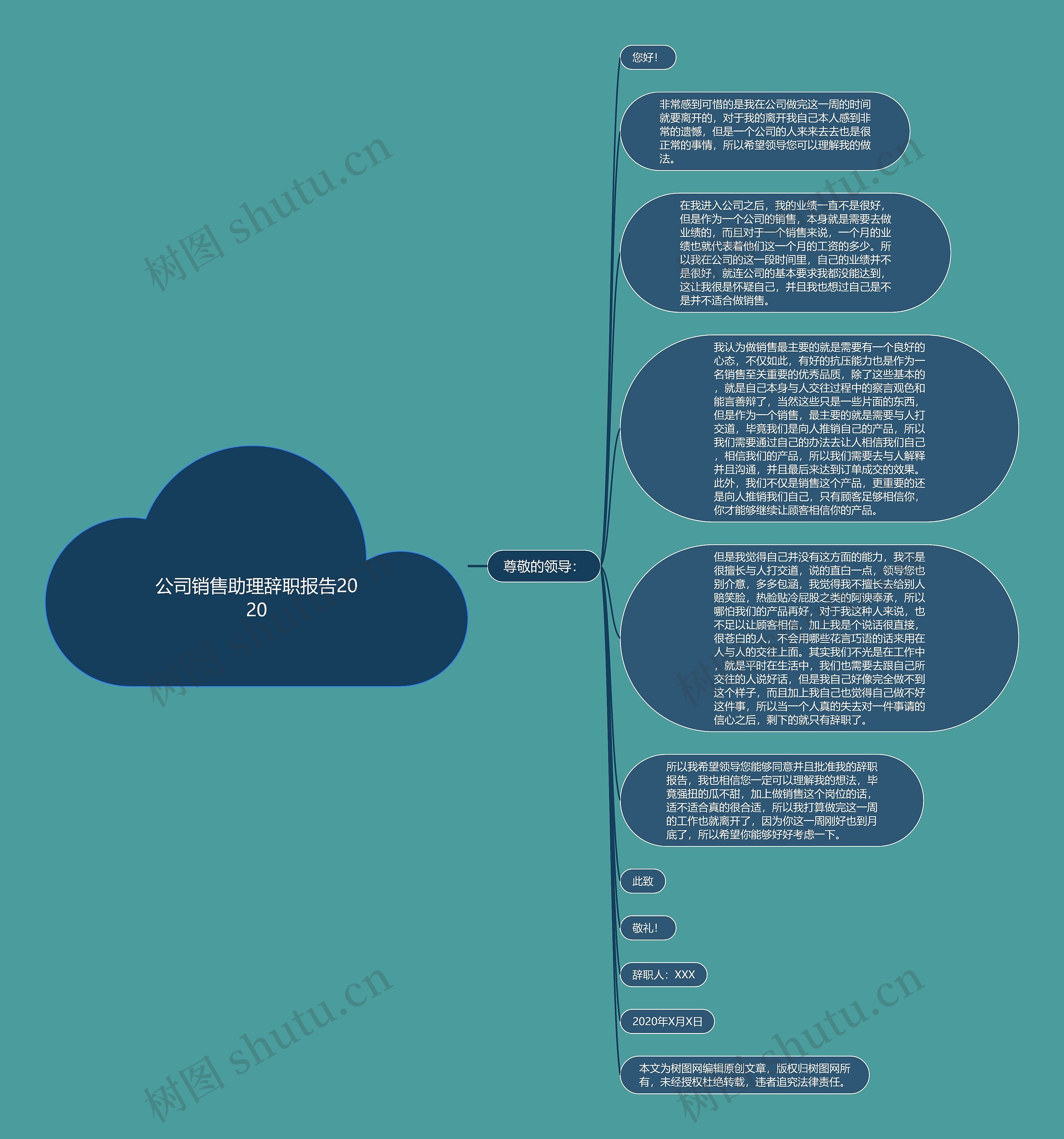 公司销售助理辞职报告2020思维导图