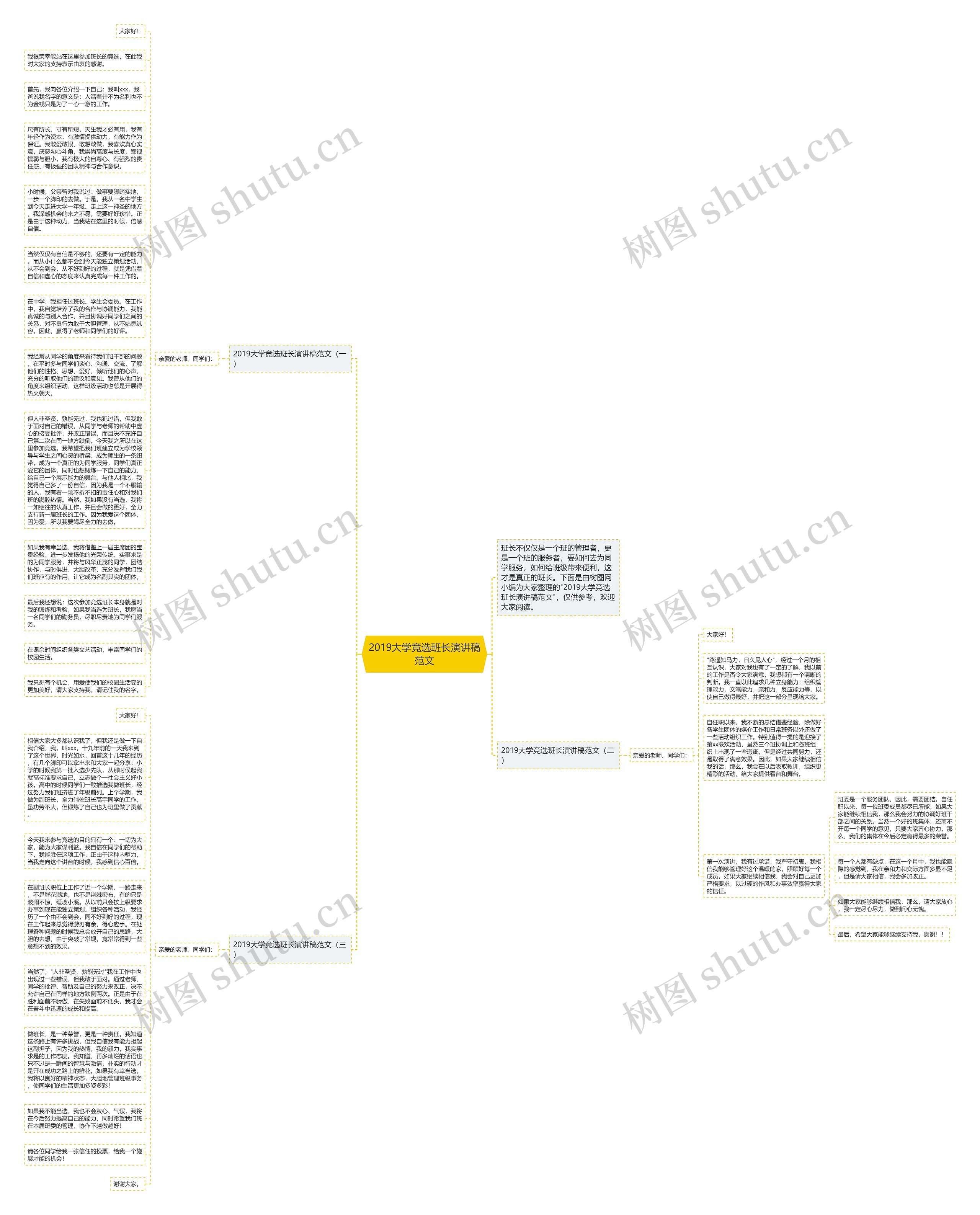2019大学竞选班长演讲稿范文思维导图