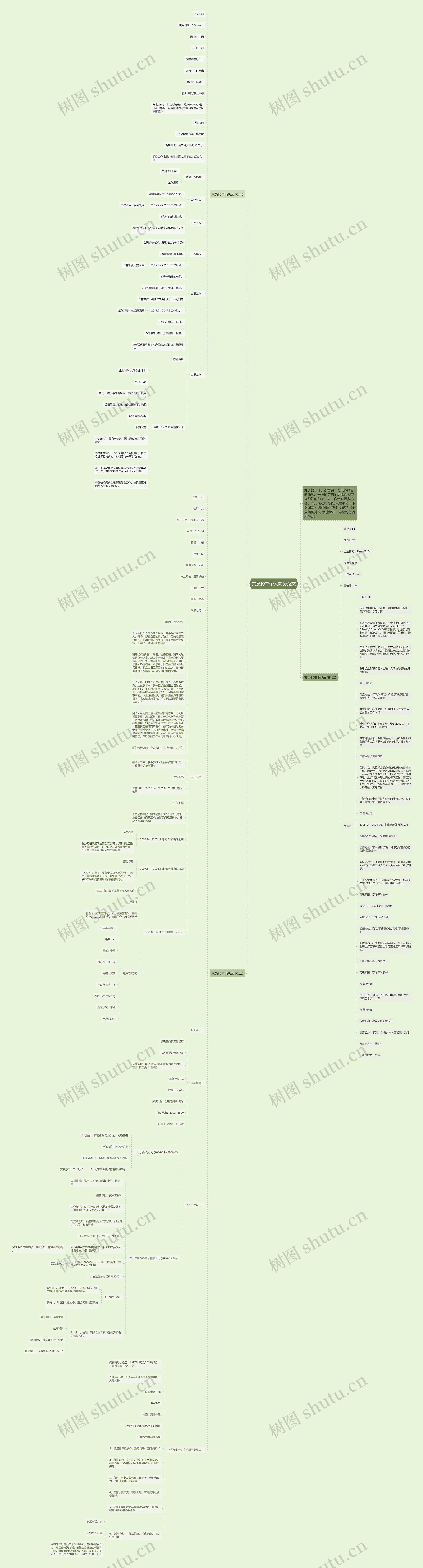 文员秘书个人简历范文思维导图