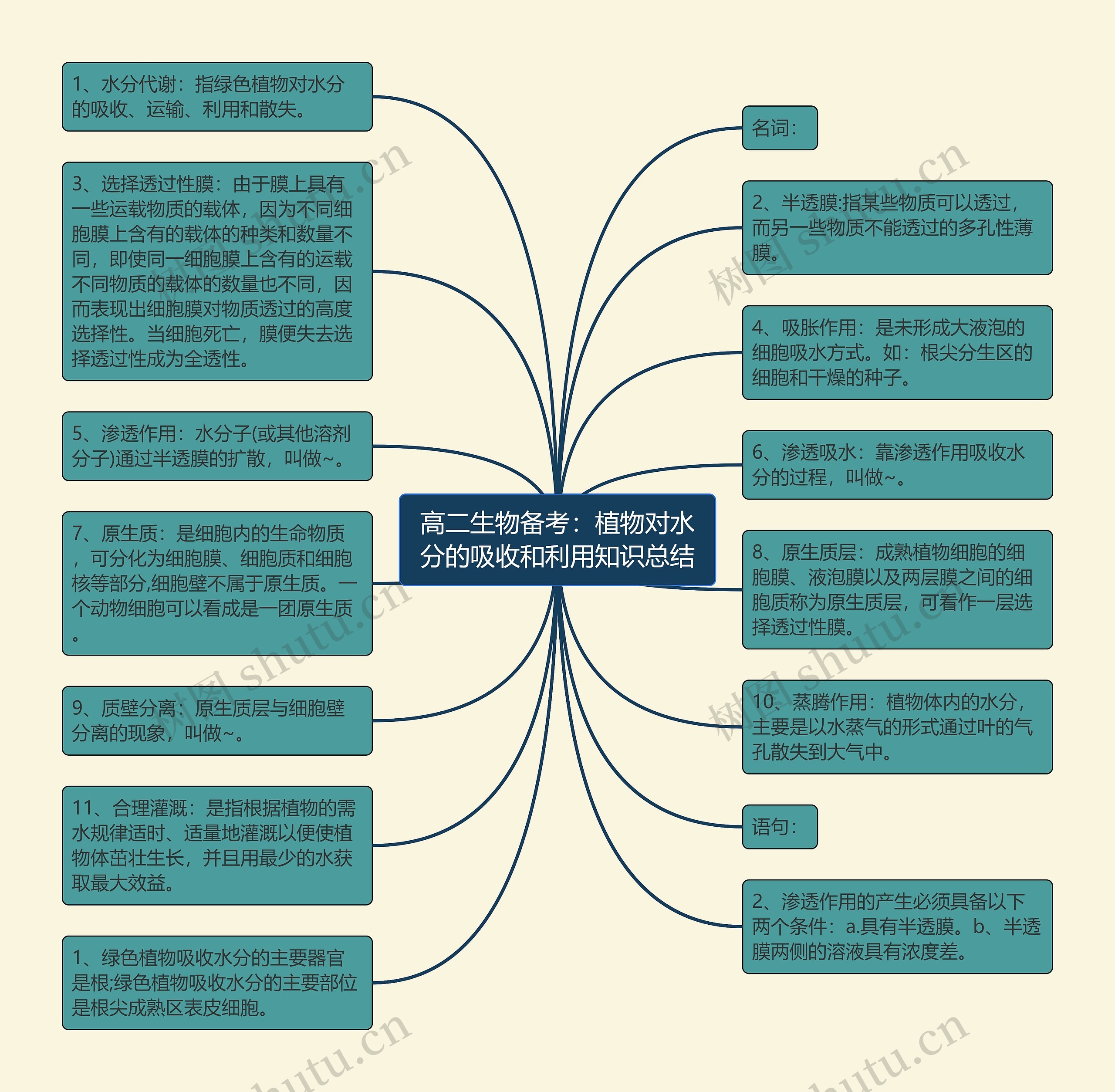 高二生物备考：植物对水分的吸收和利用知识总结思维导图