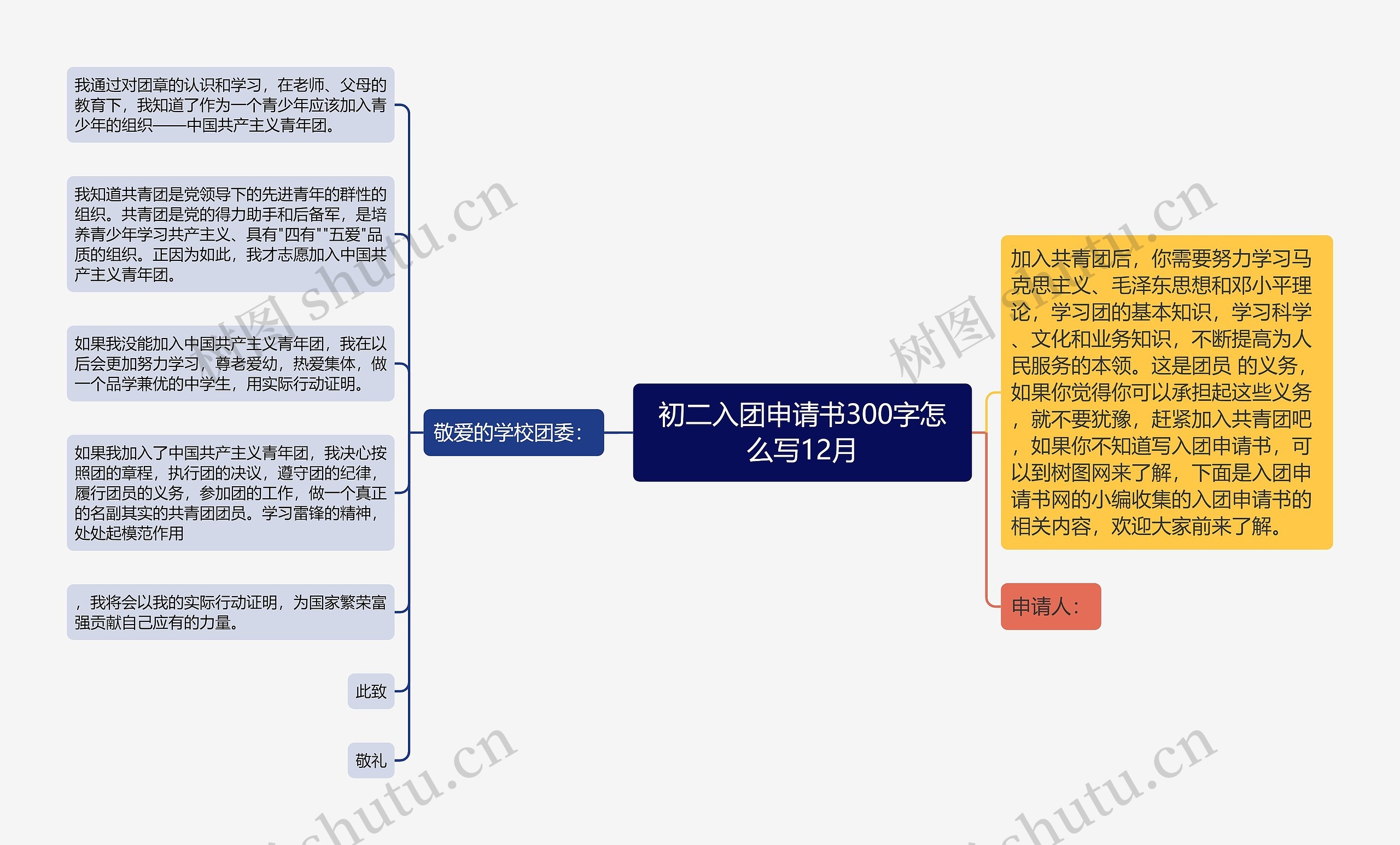 初二入团申请书300字怎么写12月