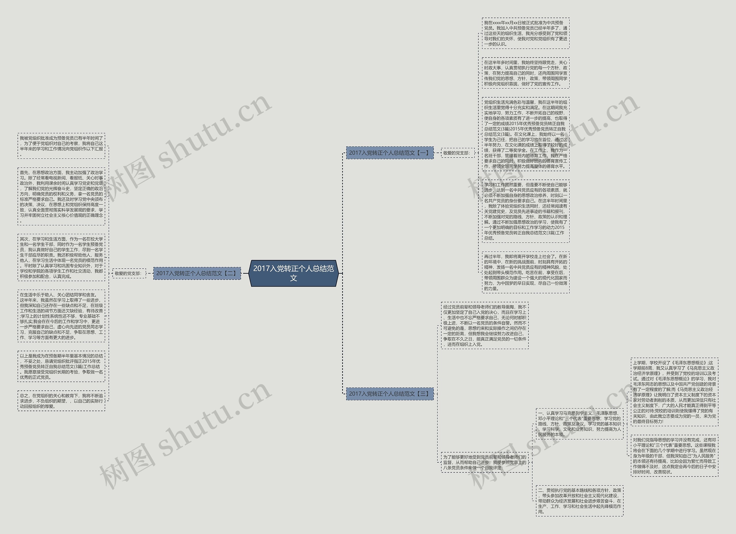 2017入党转正个人总结范文思维导图
