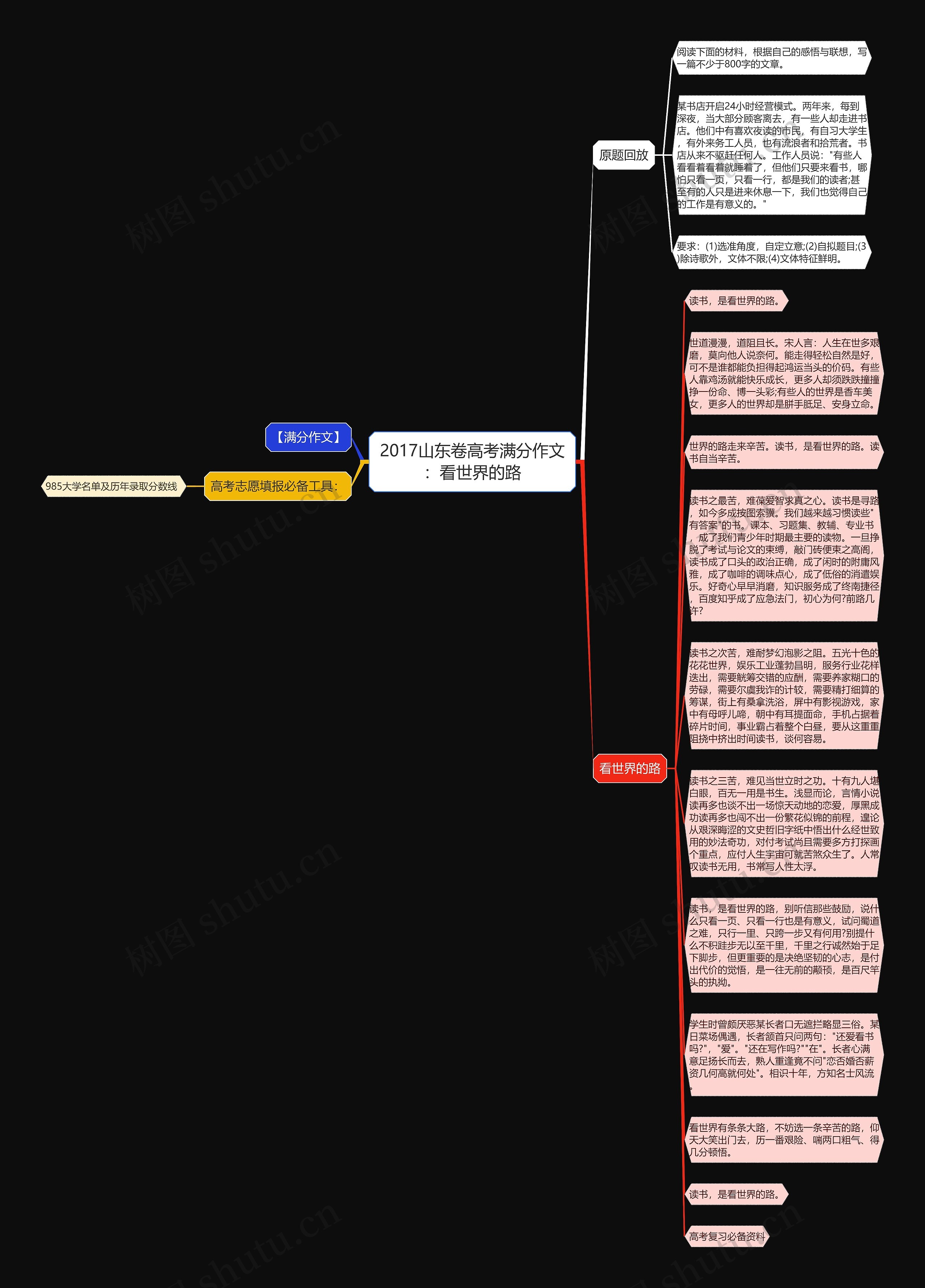 2017山东卷高考满分作文：看世界的路