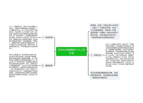 2020公司销售员个人工作计划