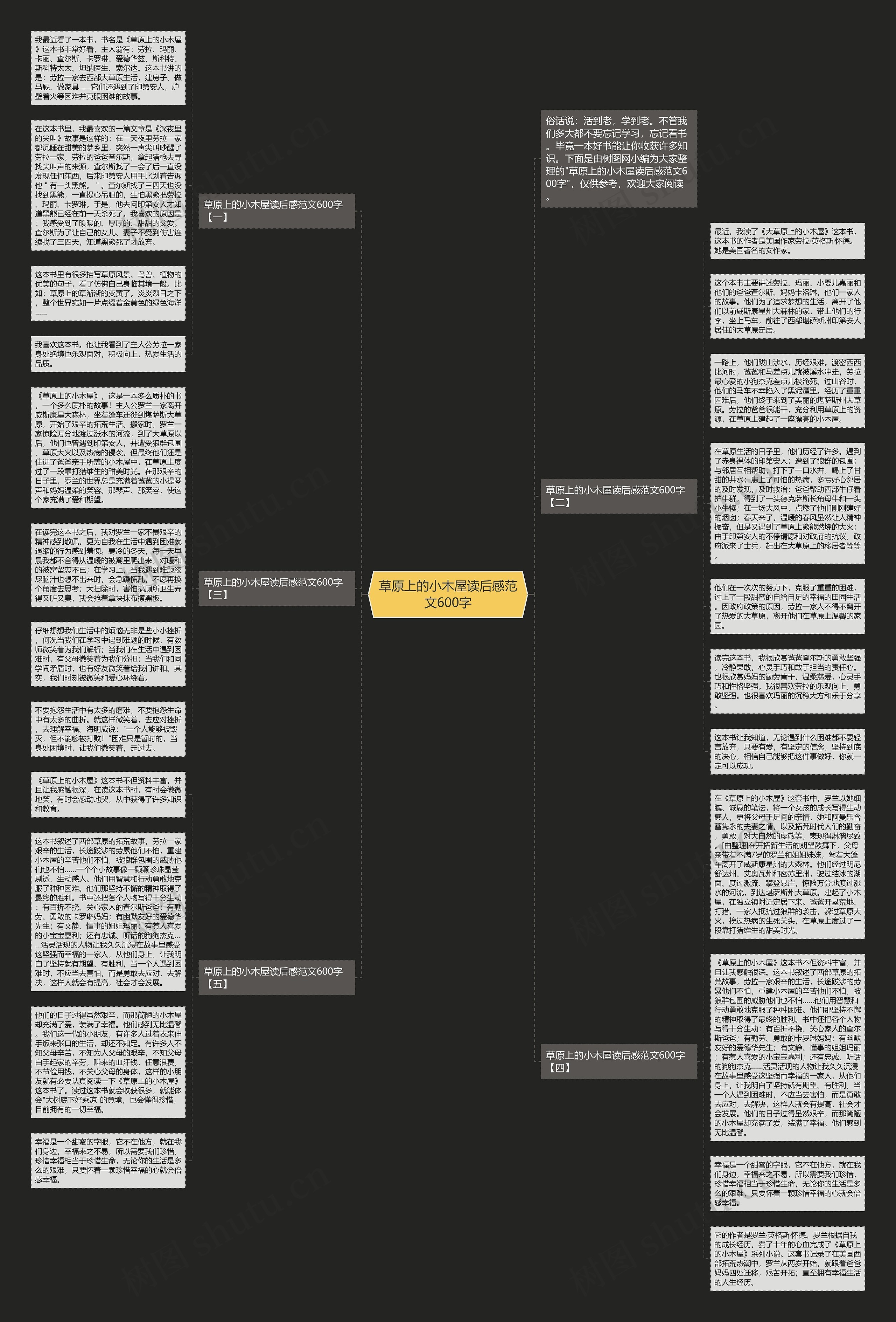 草原上的小木屋读后感范文600字思维导图