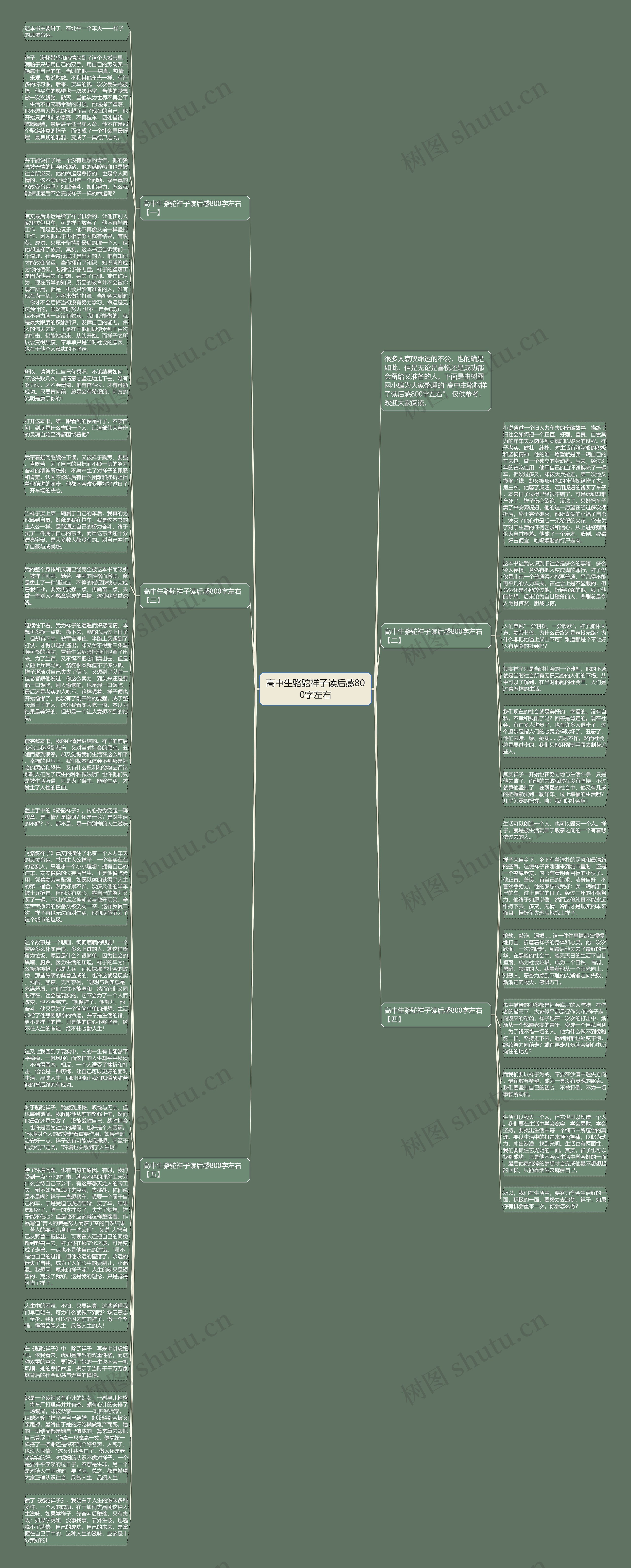 高中生骆驼祥子读后感800字左右思维导图
