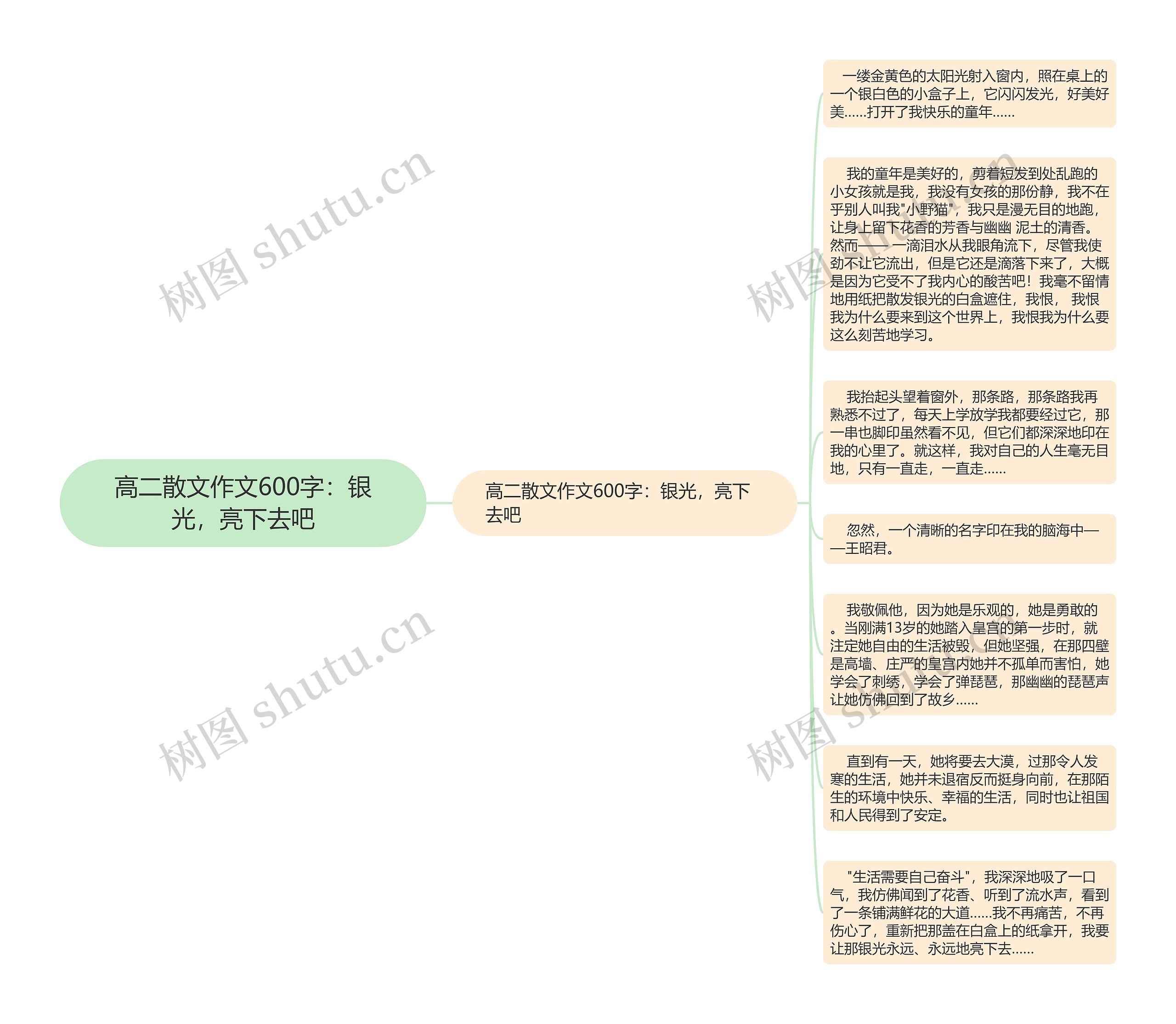 高二散文作文600字：银光，亮下去吧思维导图