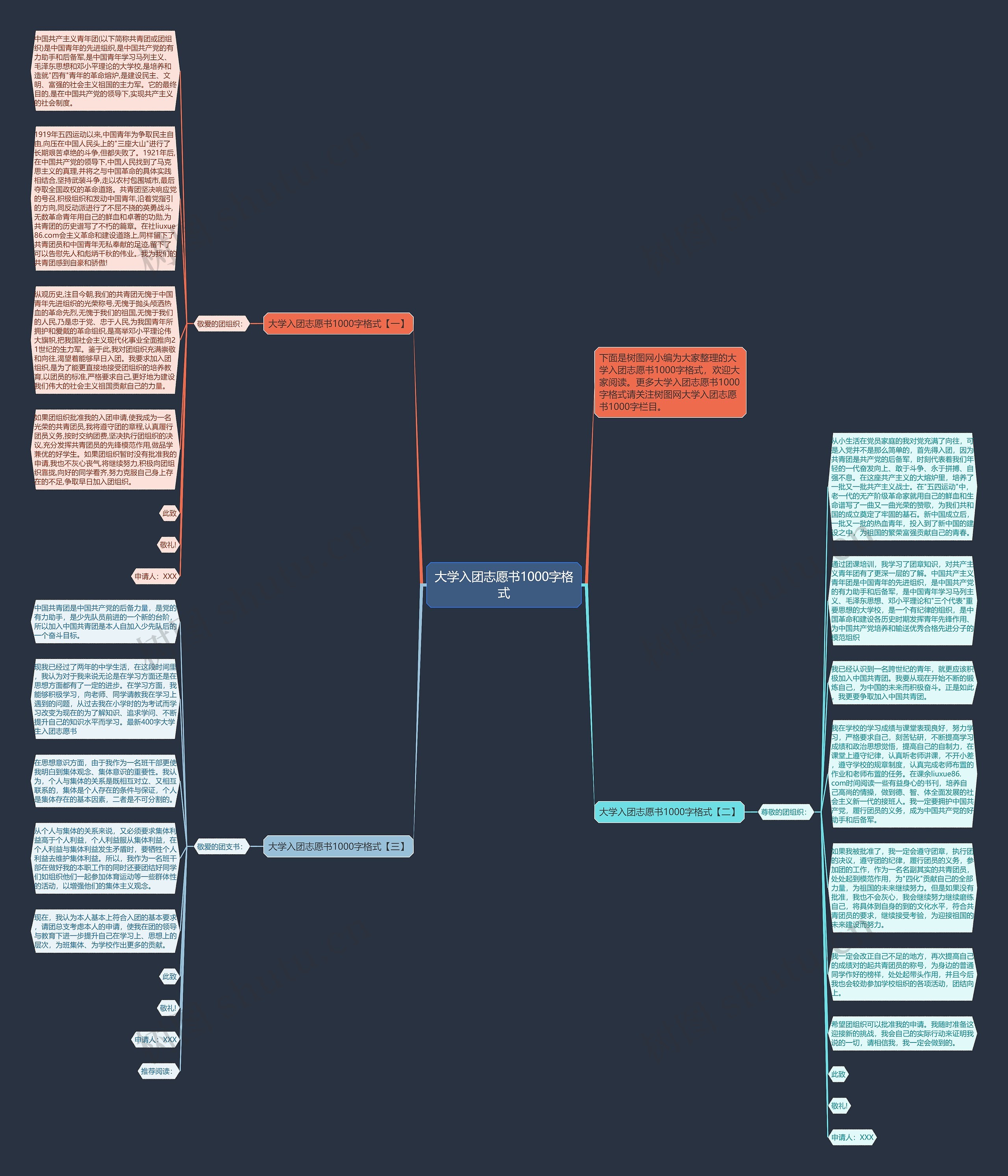 大学入团志愿书1000字格式思维导图