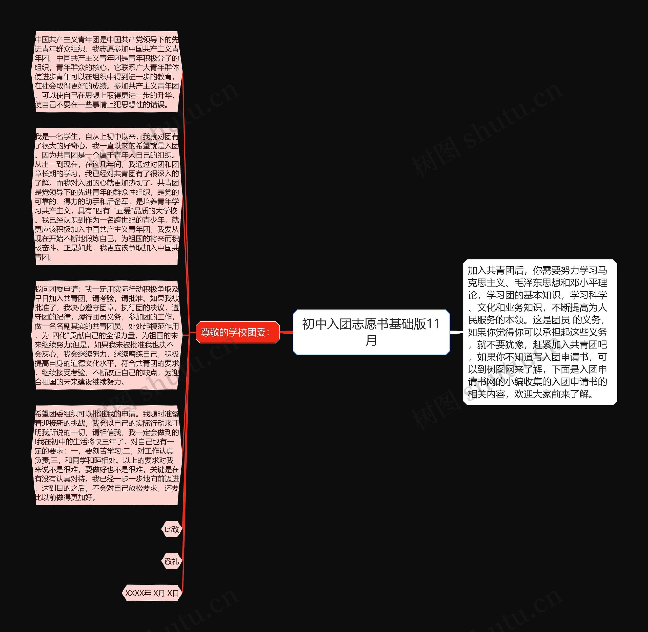 初中入团志愿书基础版11月思维导图