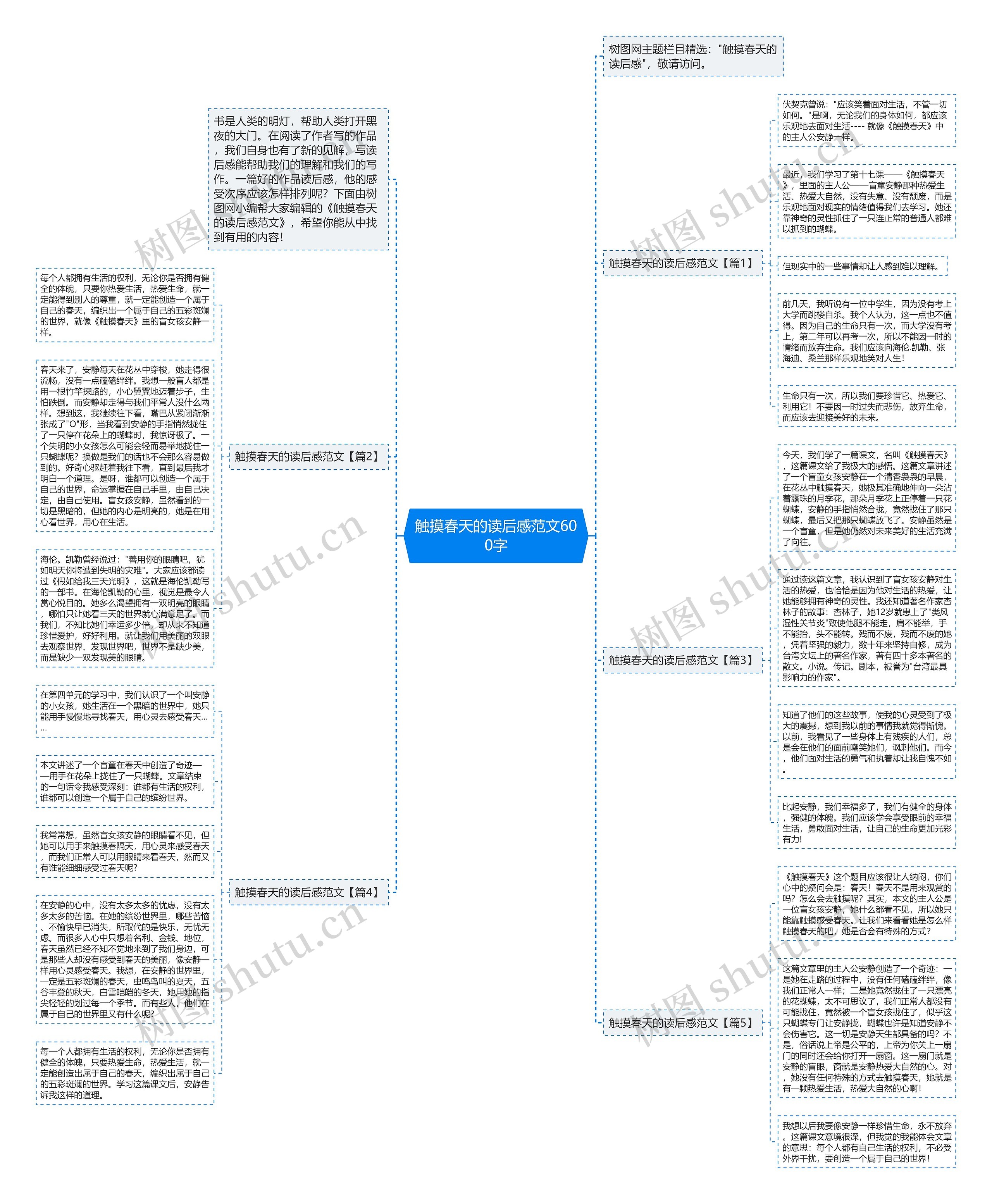 触摸春天的读后感范文600字思维导图