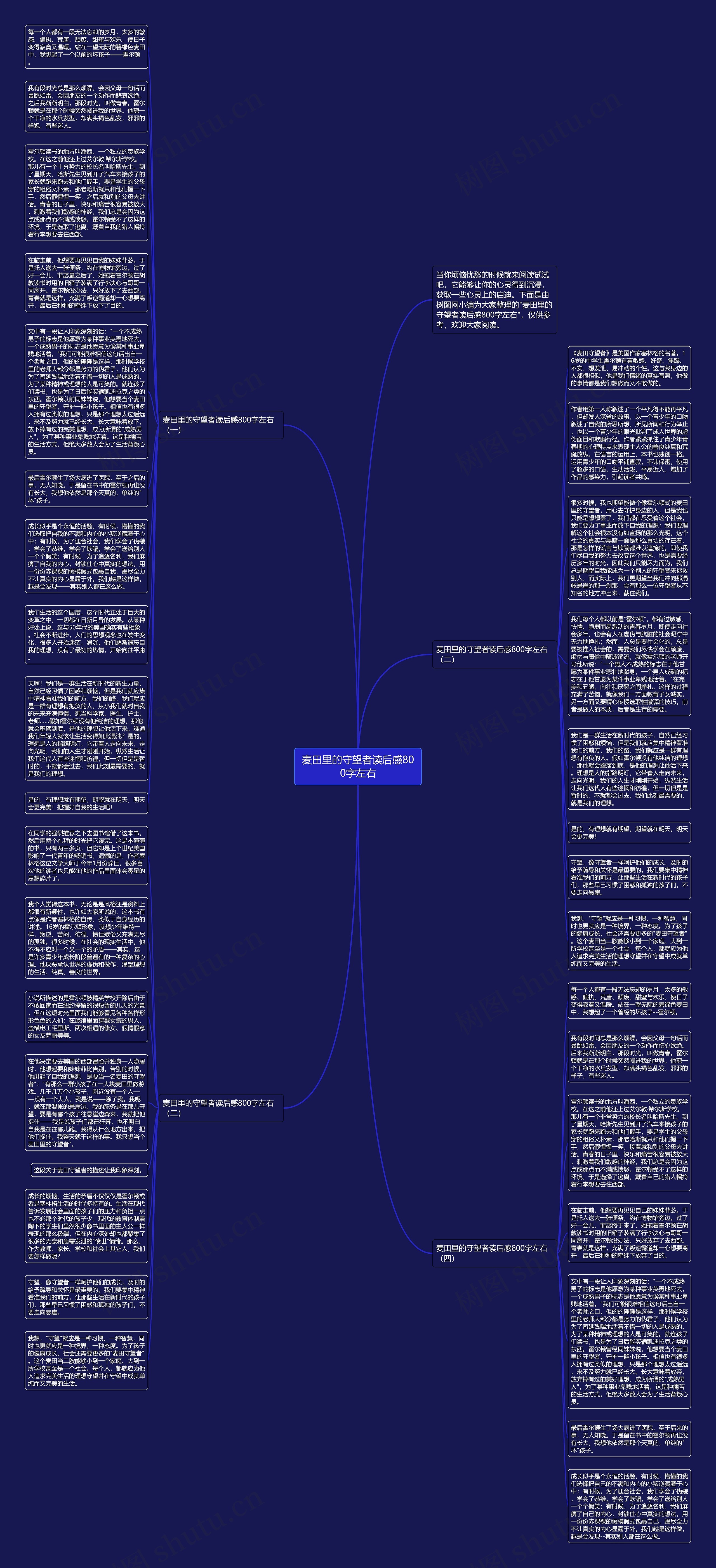 麦田里的守望者读后感800字左右思维导图