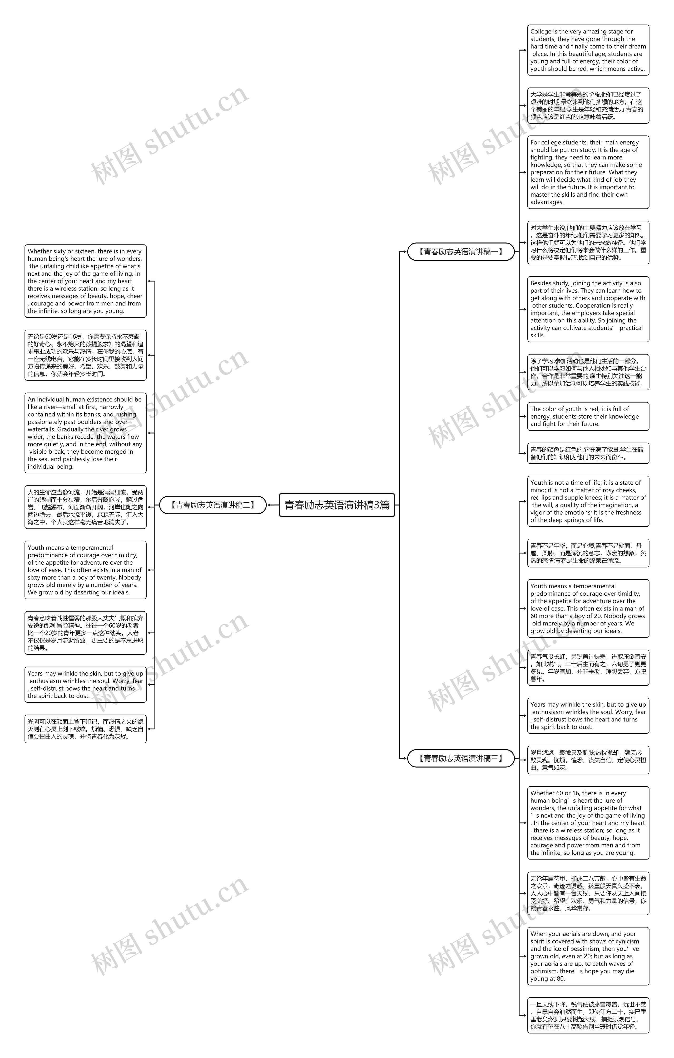 青春励志英语演讲稿3篇思维导图