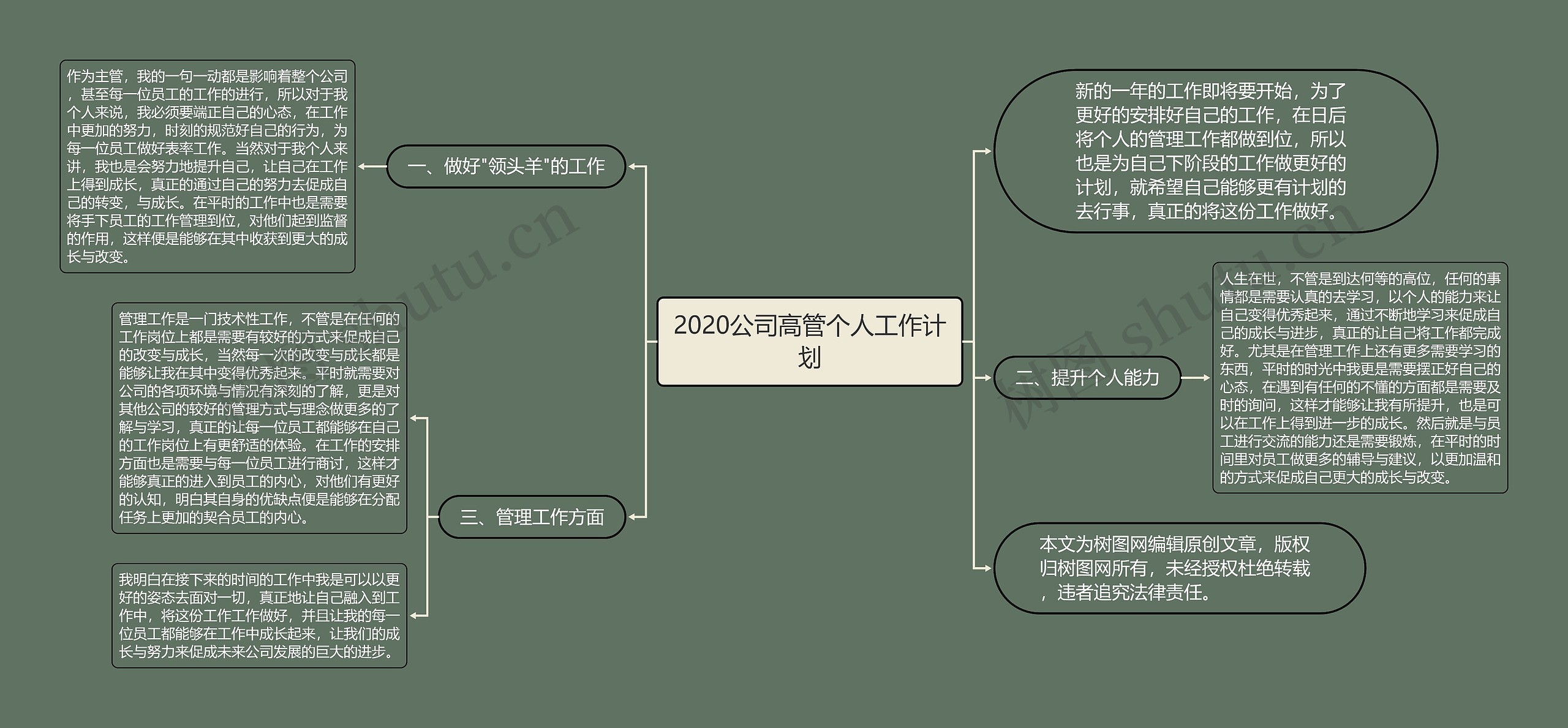 2020公司高管个人工作计划