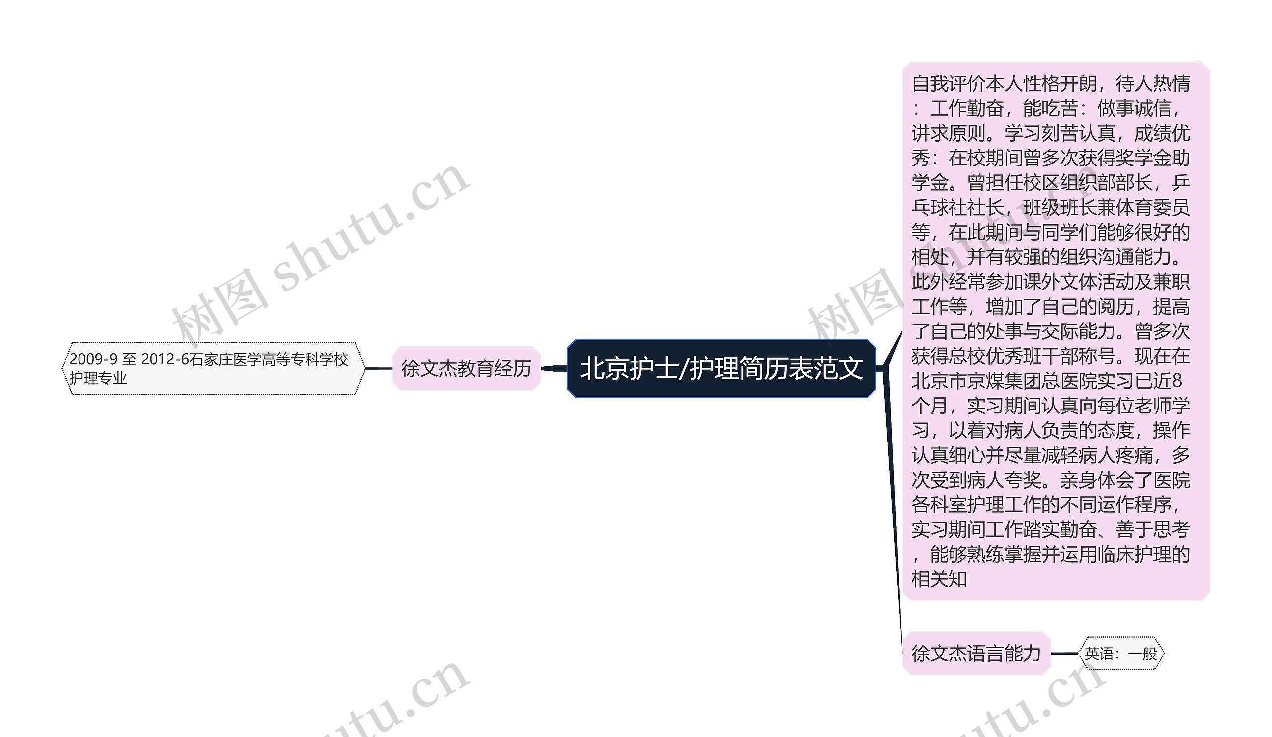 北京护士/护理简历表范文思维导图