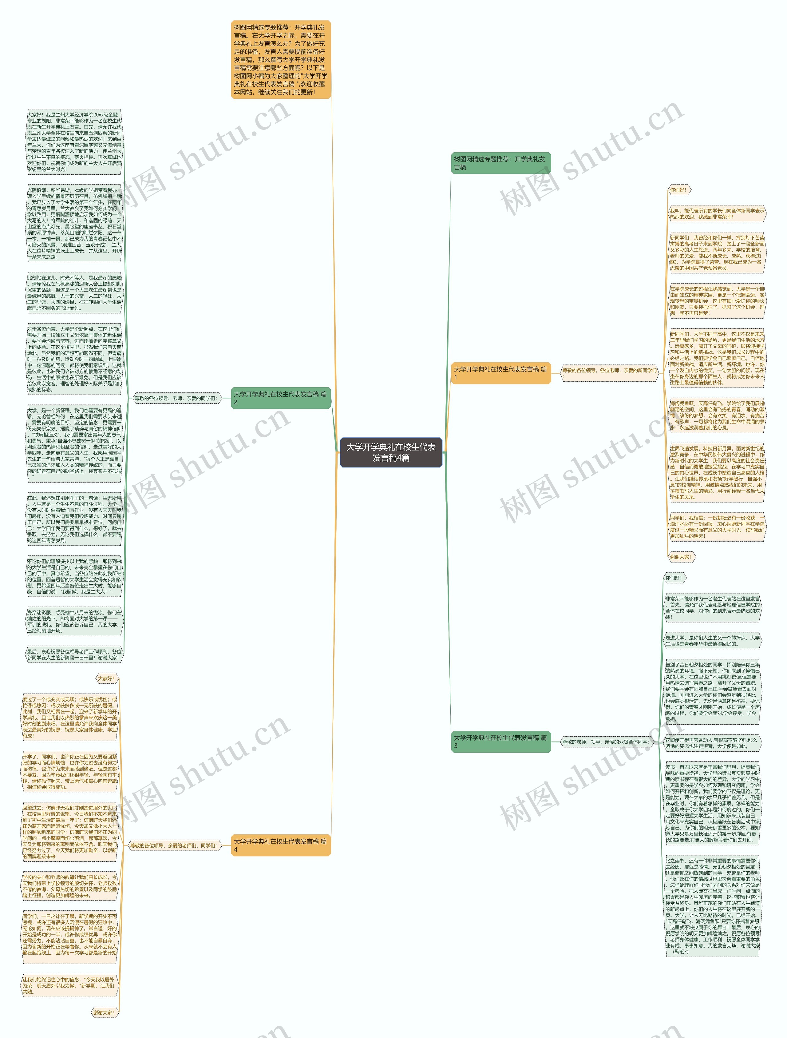 大学开学典礼在校生代表发言稿4篇思维导图