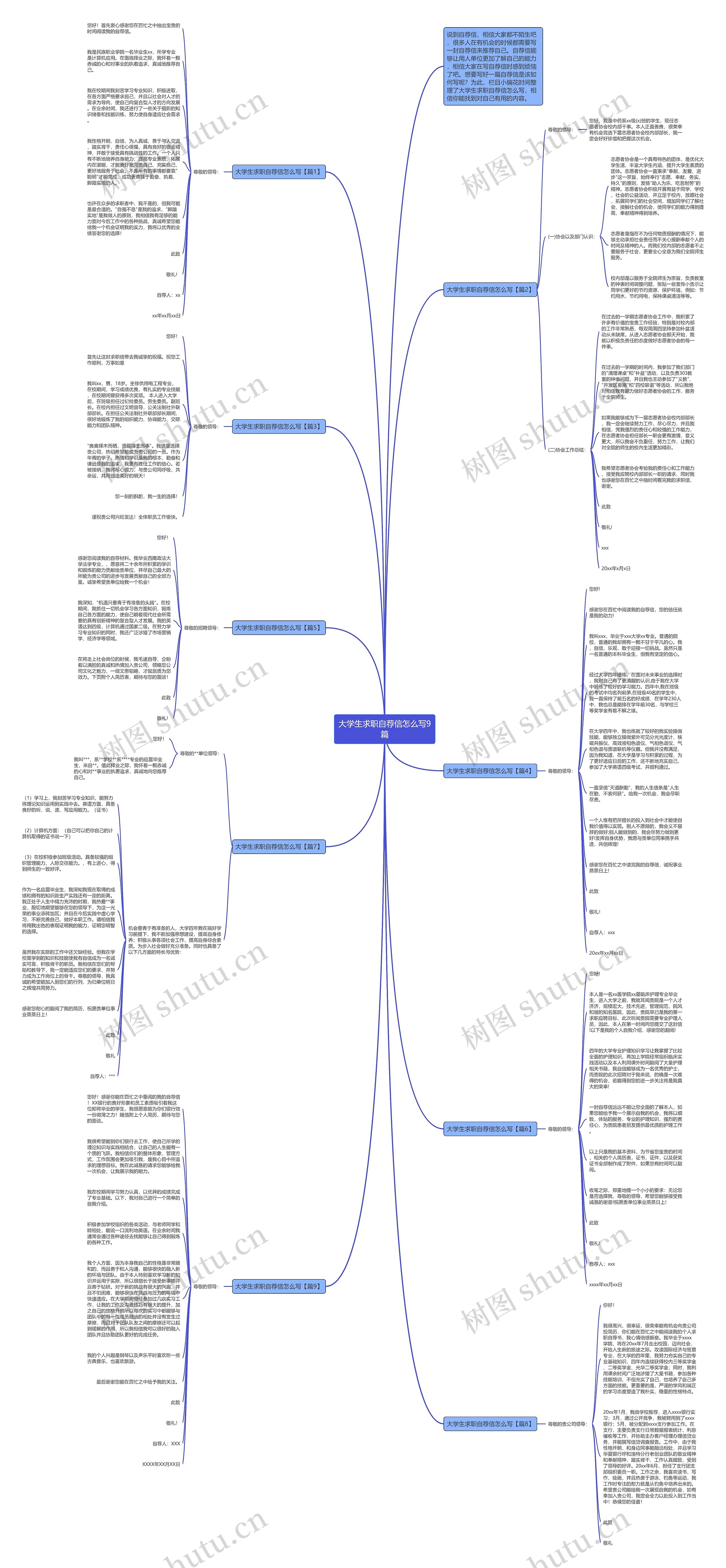 大学生求职自荐信怎么写9篇思维导图