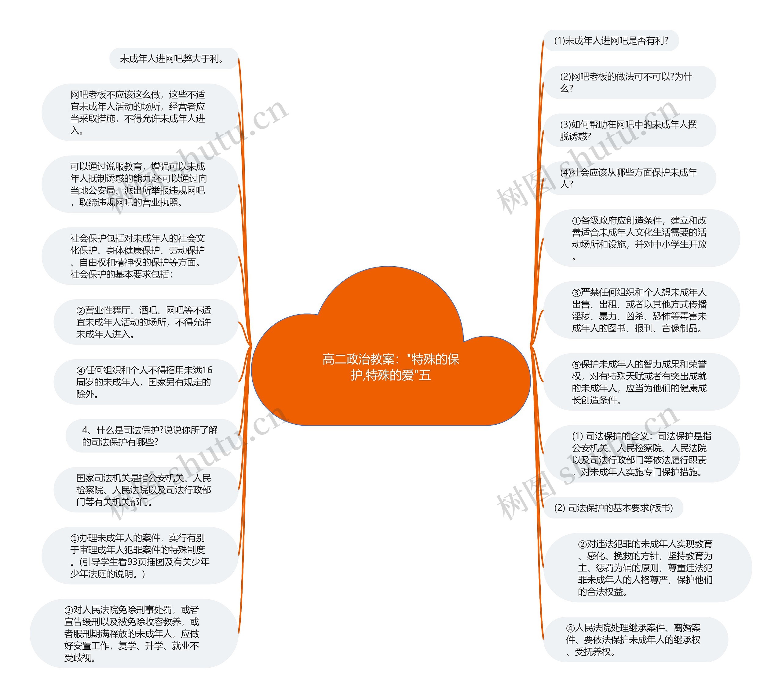 高二政治教案："特殊的保护,特殊的爱"五