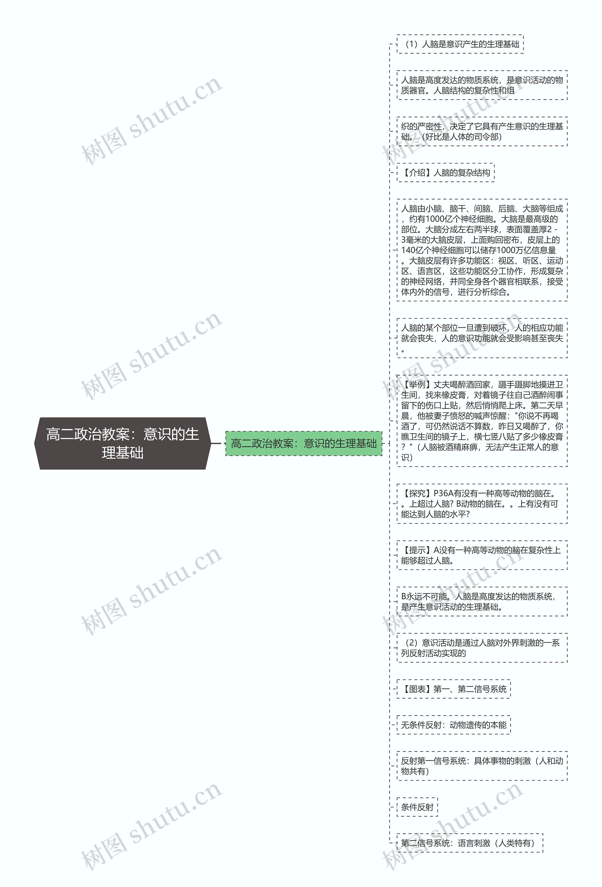 高二政治教案：意识的生理基础思维导图