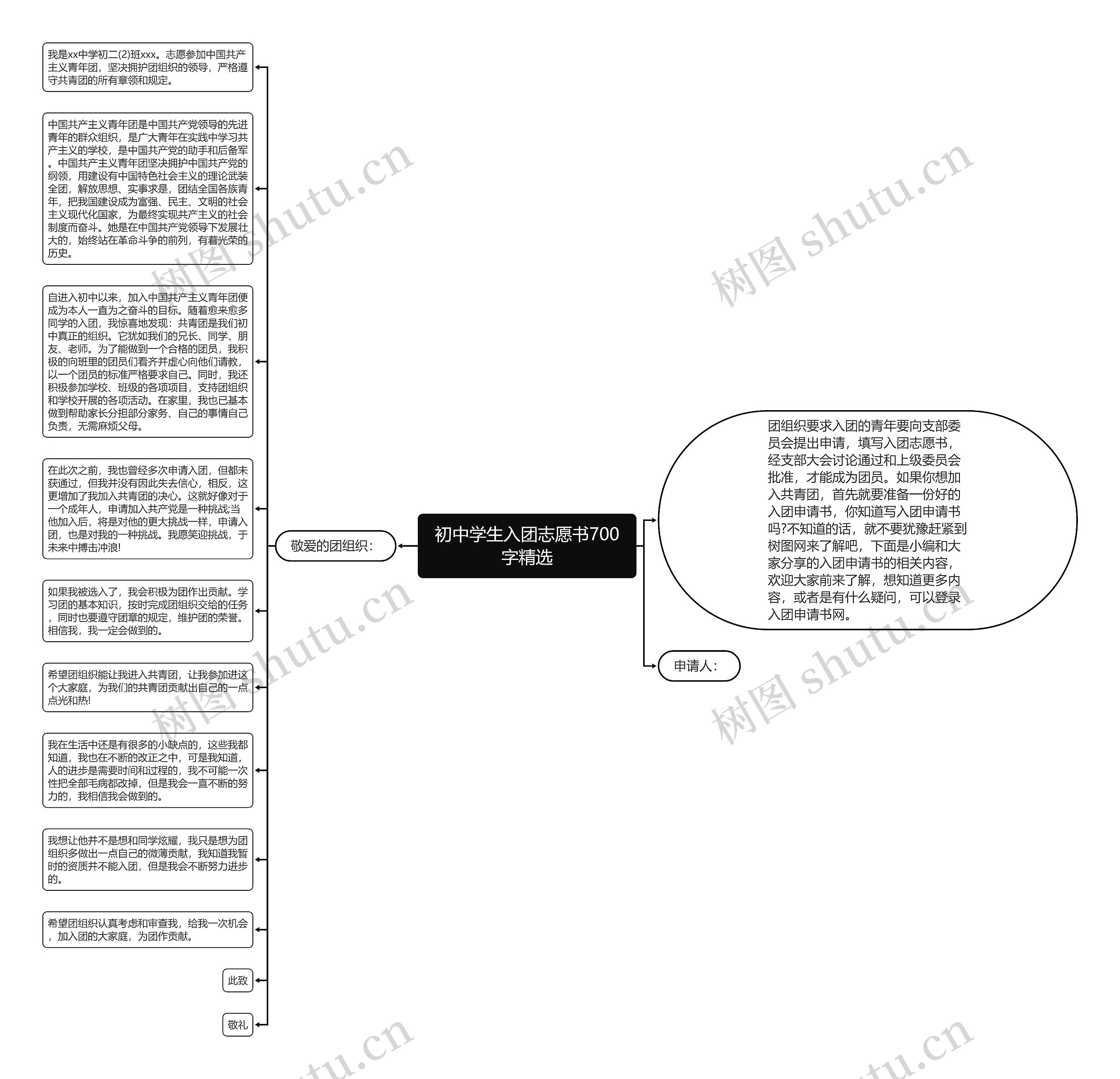 初中学生入团志愿书700字精选思维导图