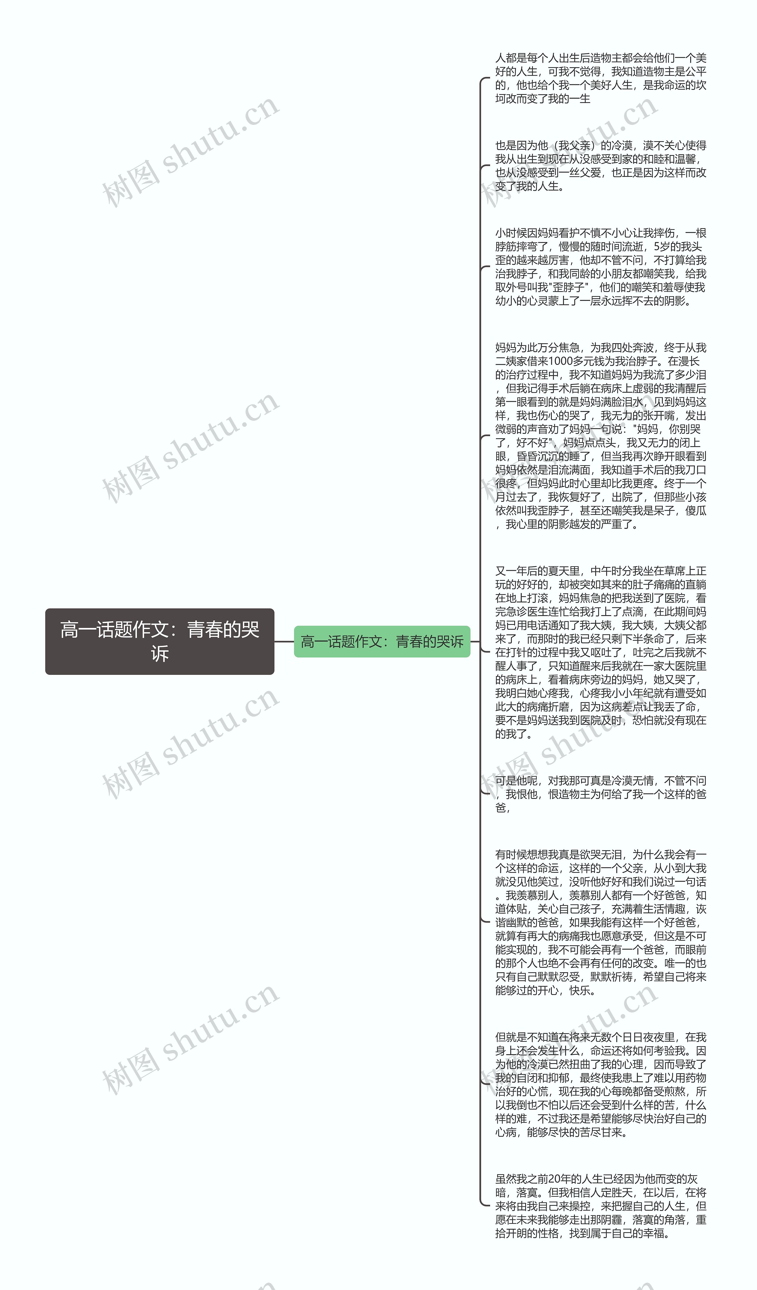 高一话题作文：青春的哭诉思维导图