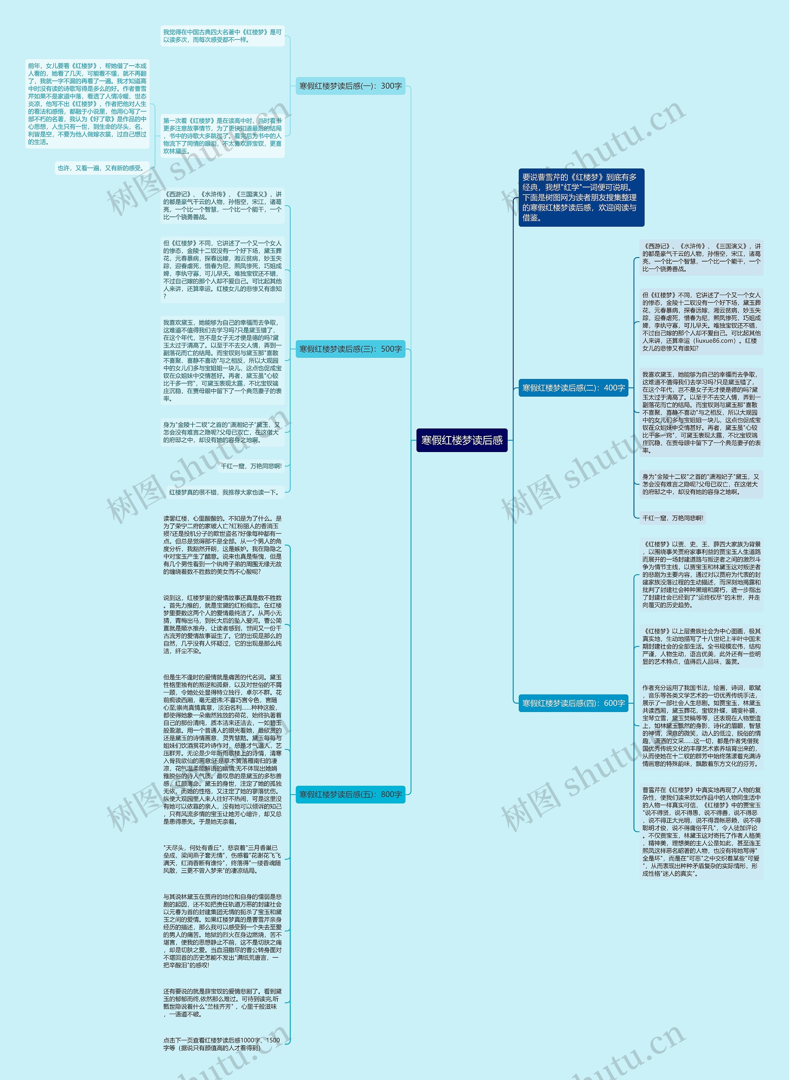 寒假红楼梦读后感思维导图