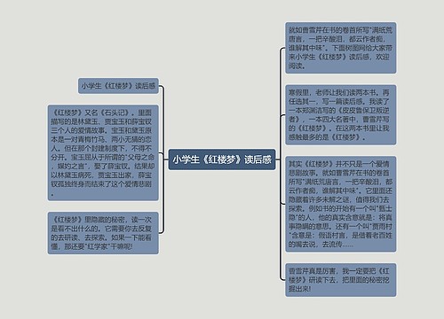 小学生《红楼梦》读后感