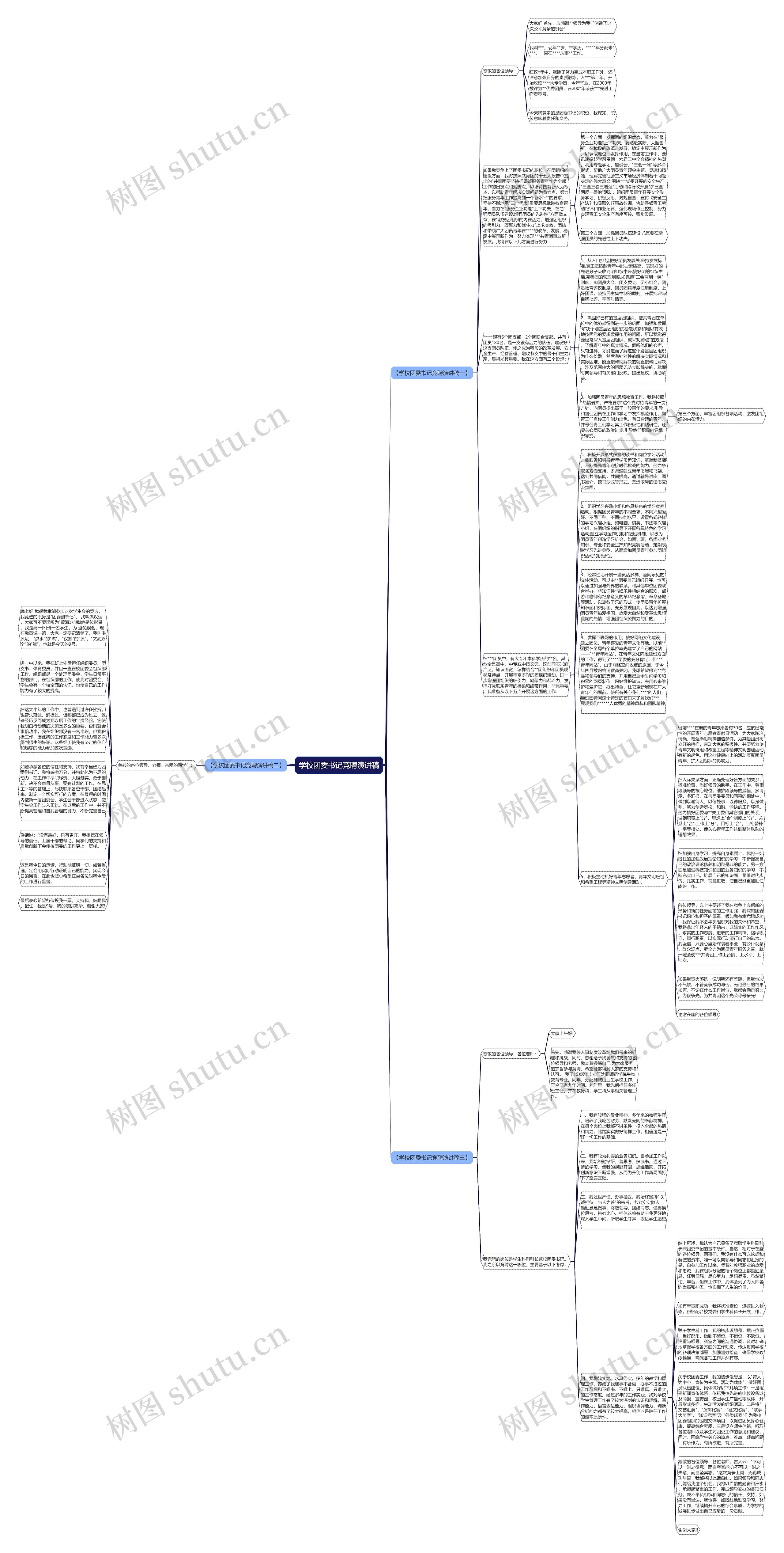 学校团委书记竞聘演讲稿思维导图