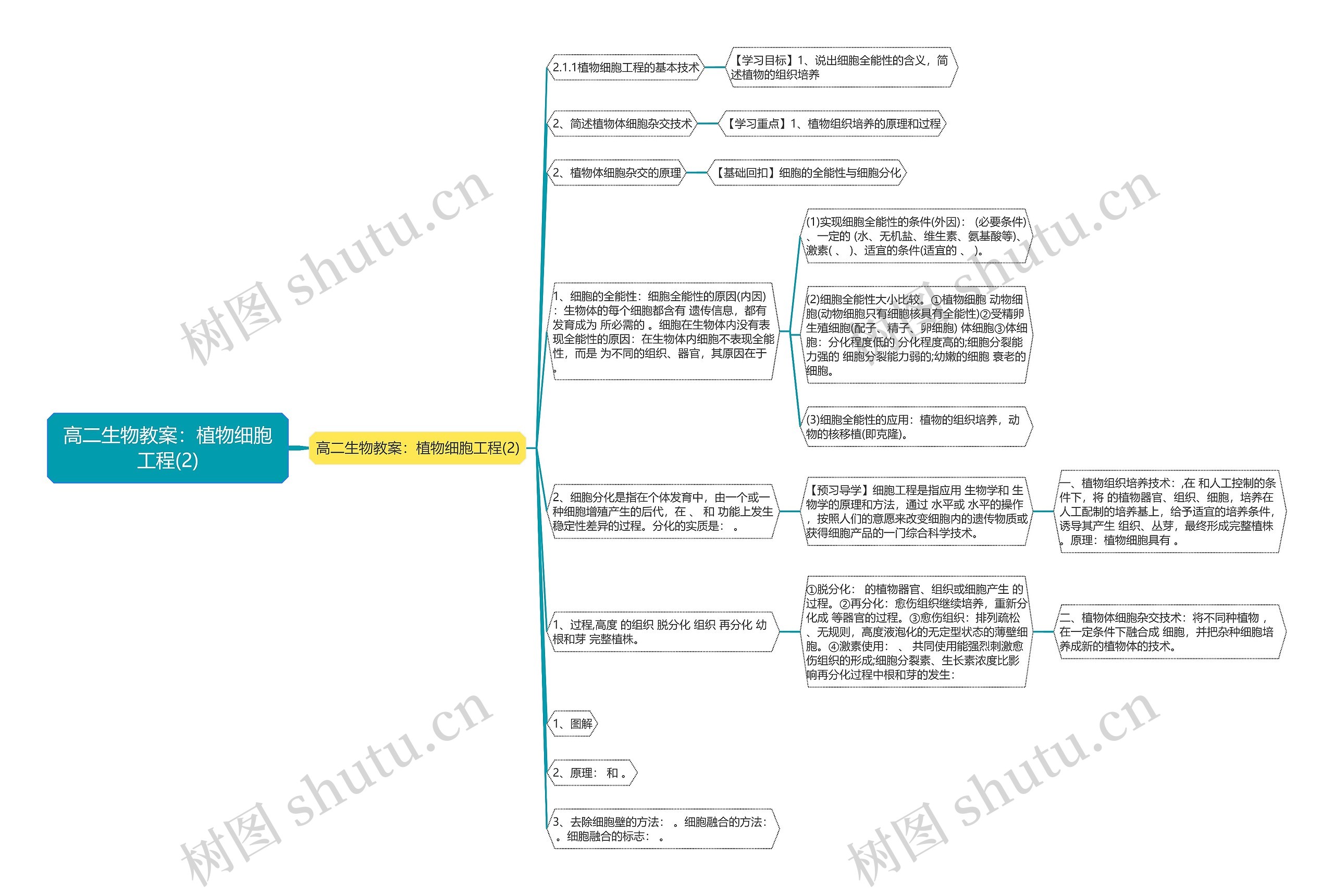高二生物教案：植物细胞工程(2)思维导图