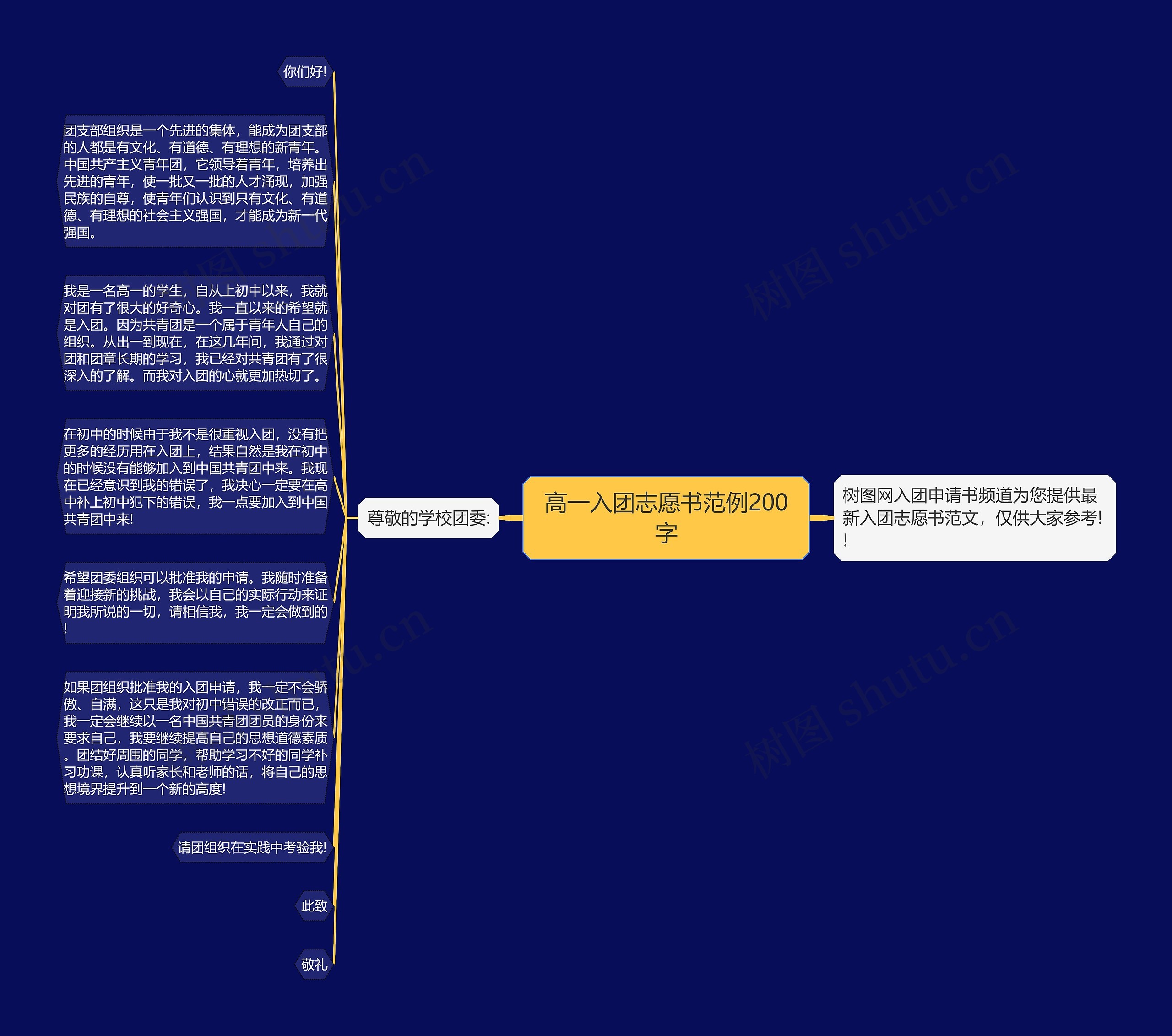 高一入团志愿书范例200字