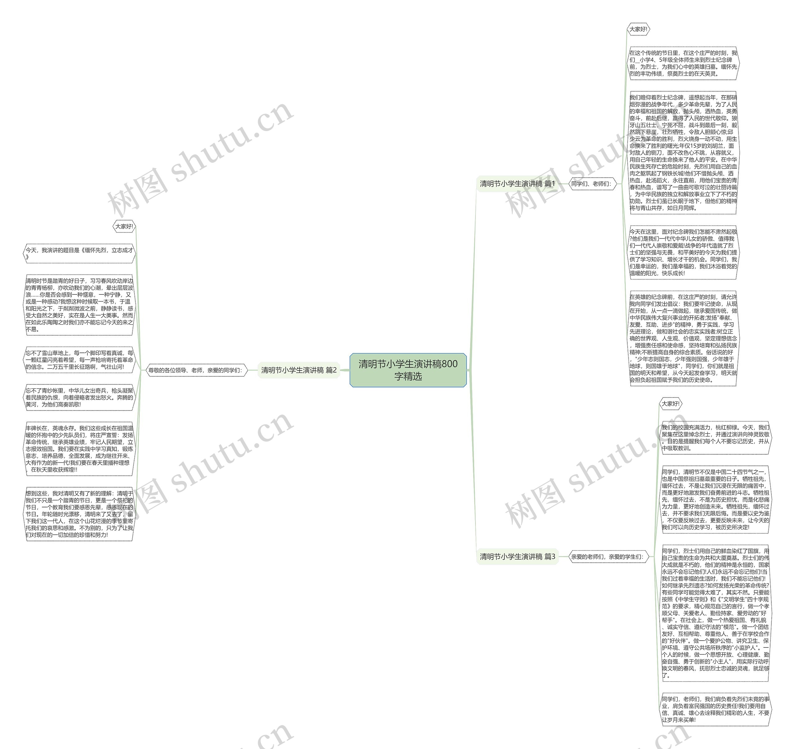 清明节小学生演讲稿800字精选思维导图