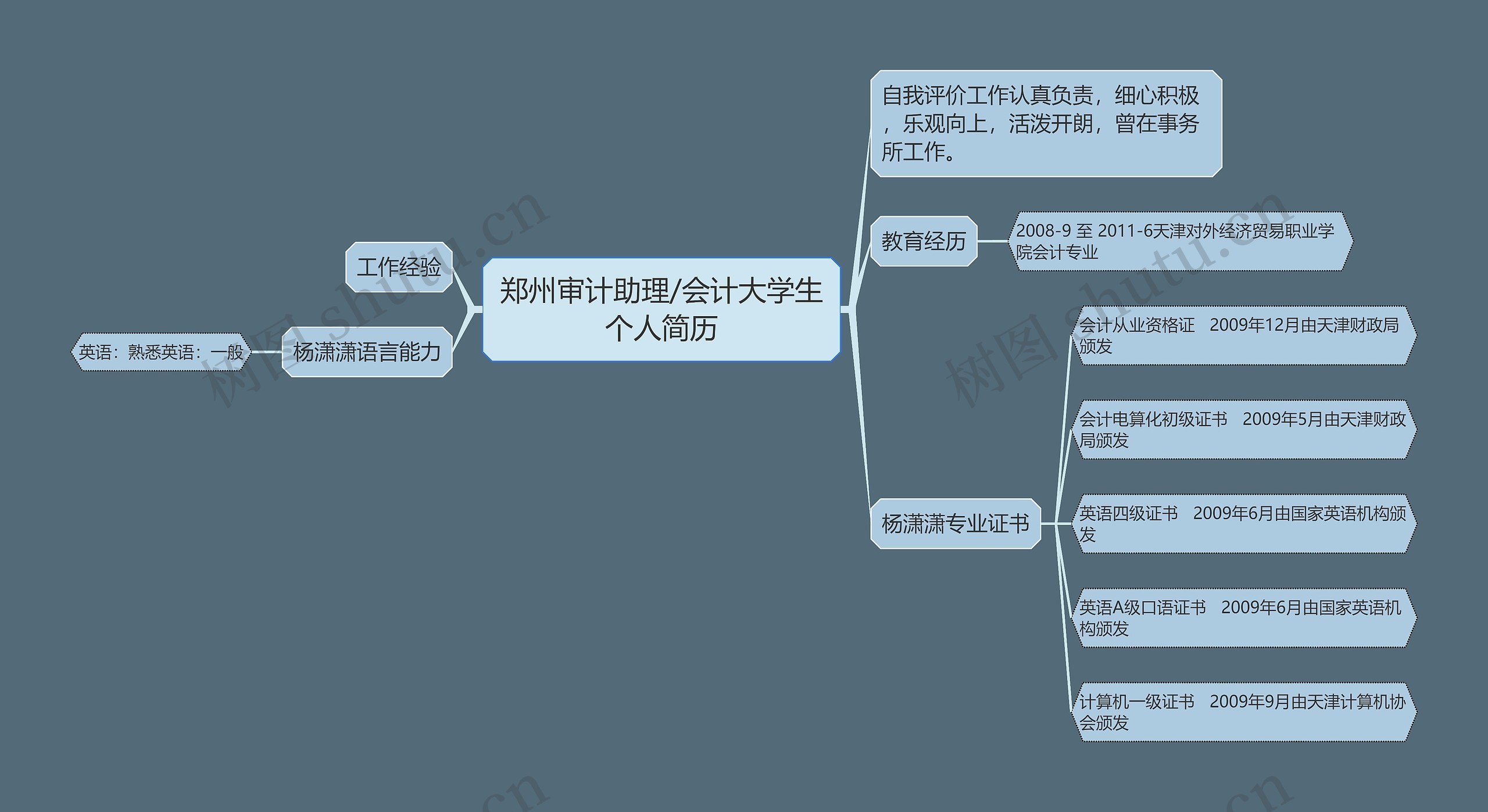 郑州审计助理/会计大学生个人简历思维导图