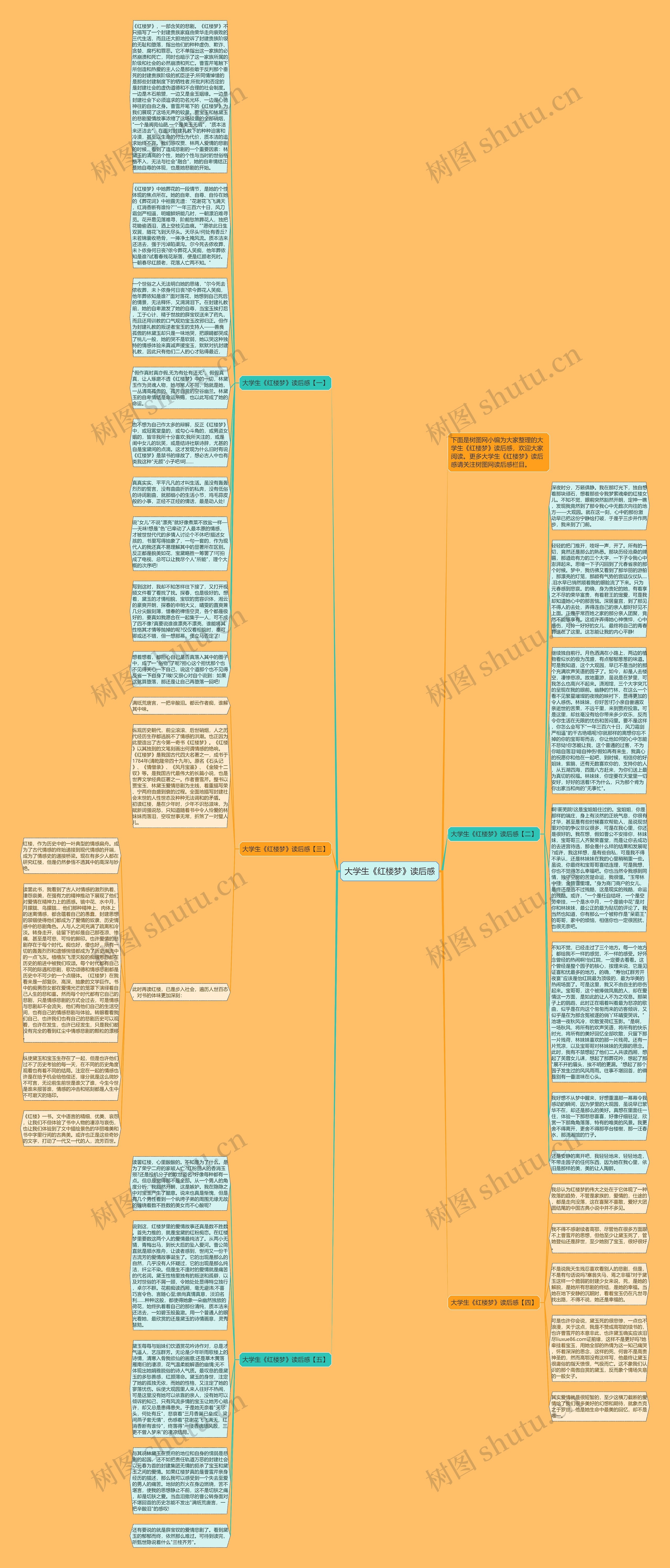 大学生《红楼梦》读后感思维导图