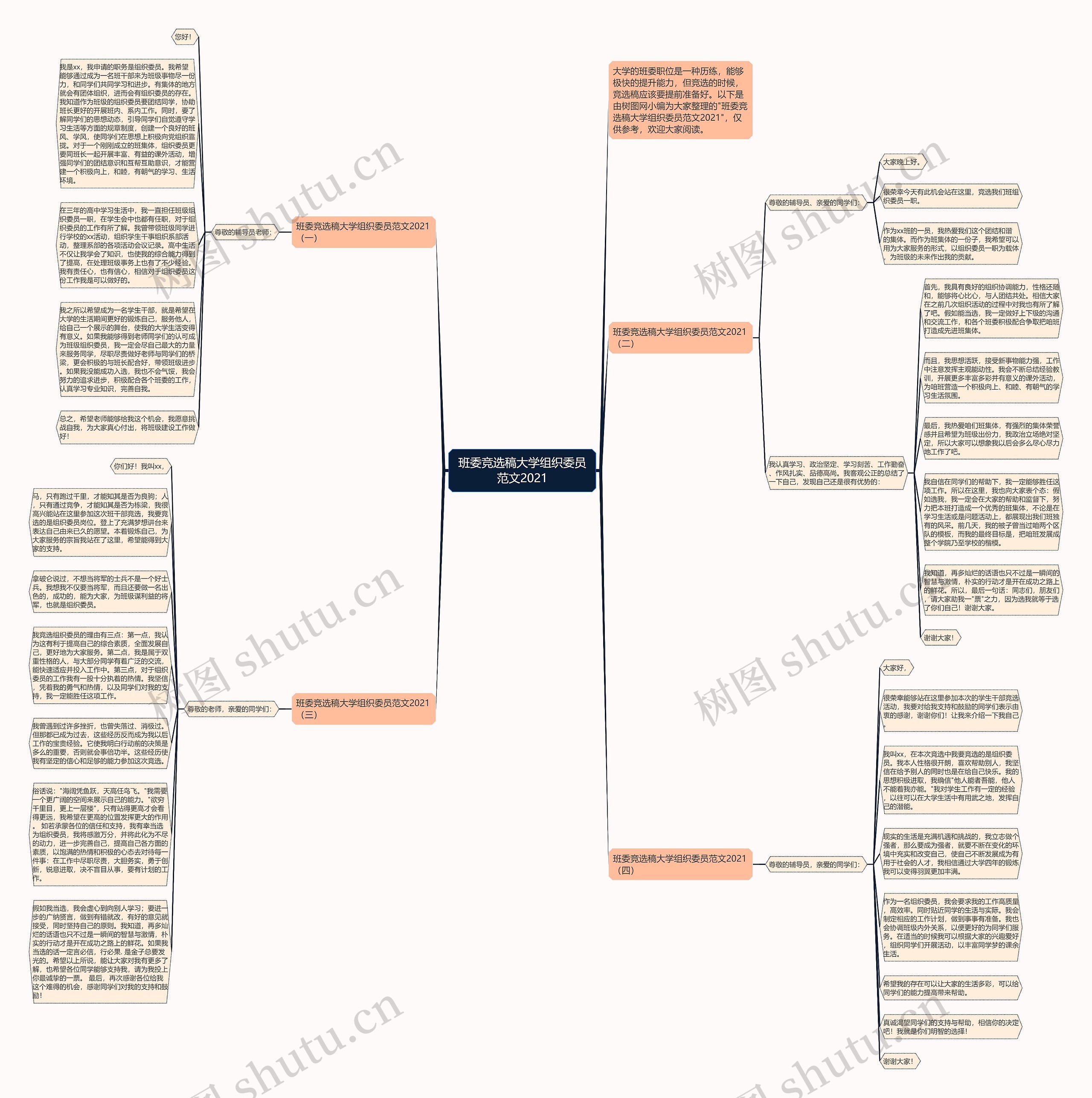班委竞选稿大学组织委员范文2021思维导图