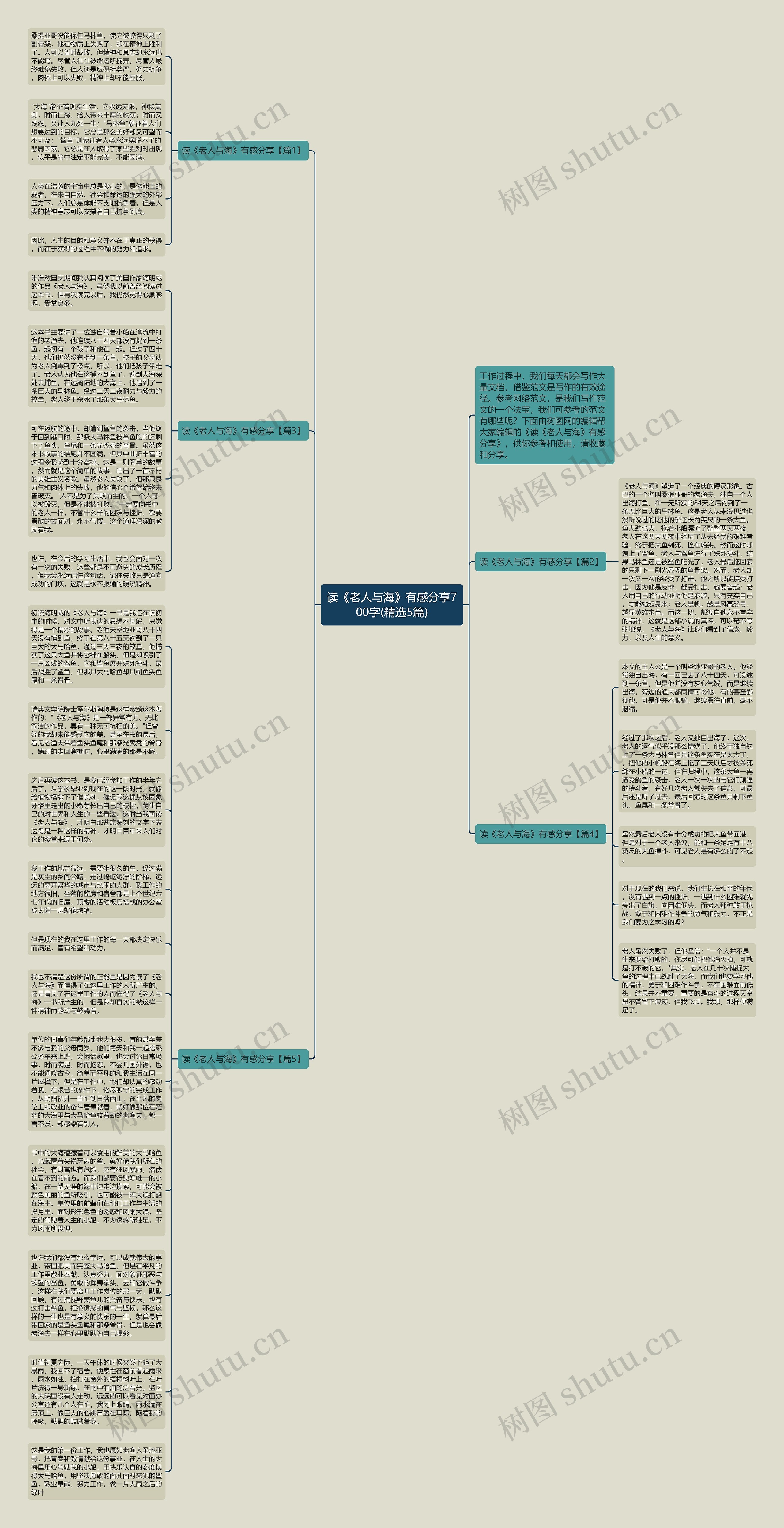 读《老人与海》有感分享700字(精选5篇)思维导图