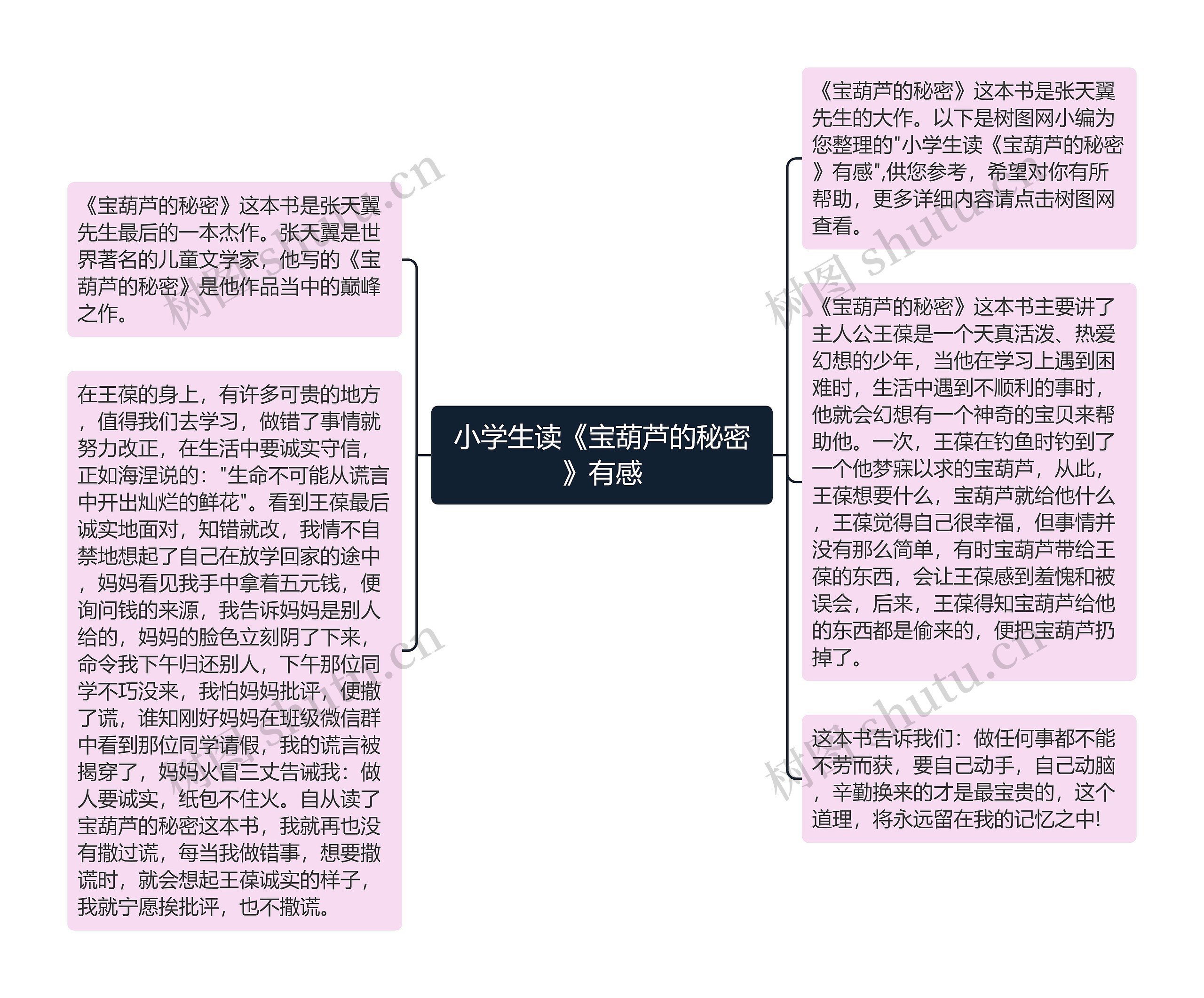 小学生读《宝葫芦的秘密》有感